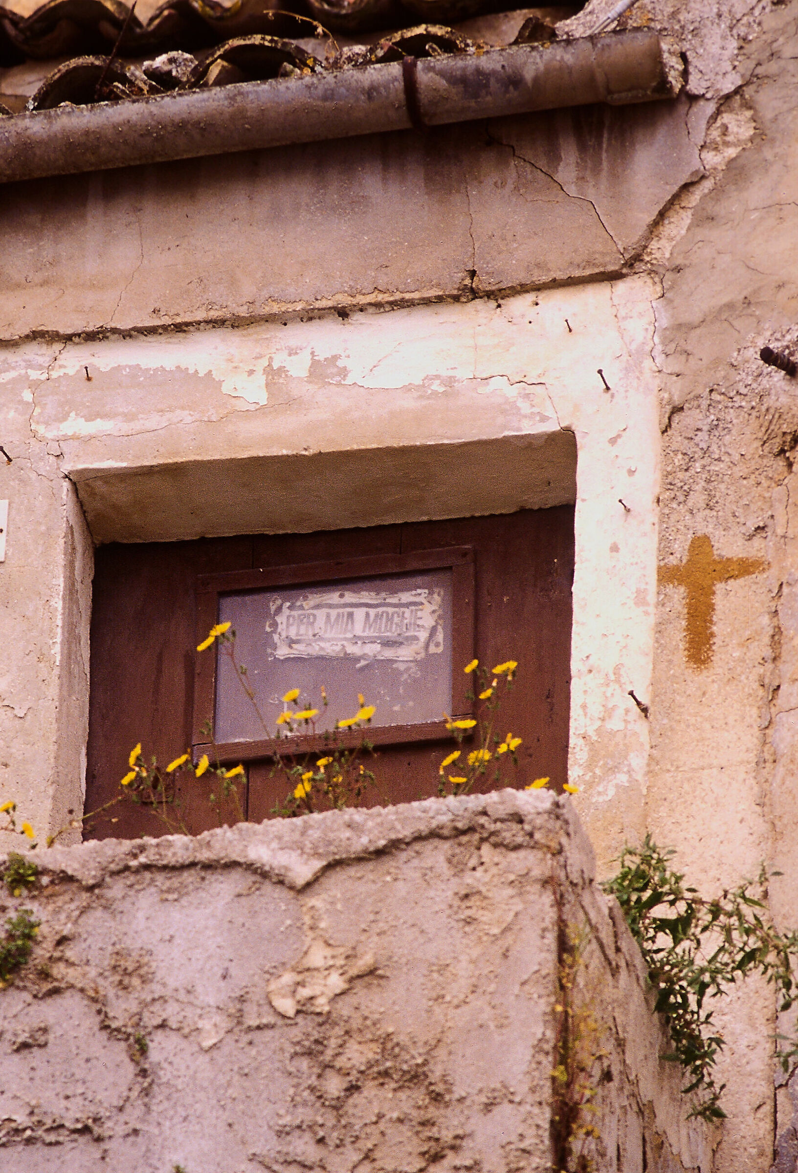 Valley of the Sicans (Milena): The end of the life cycle