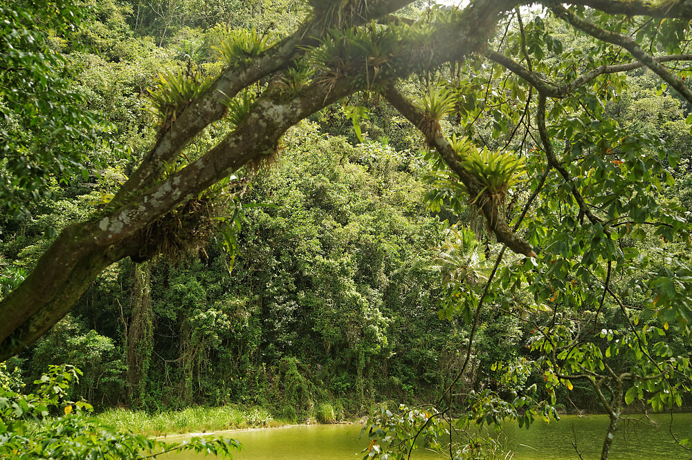 las galeras  laguna 9