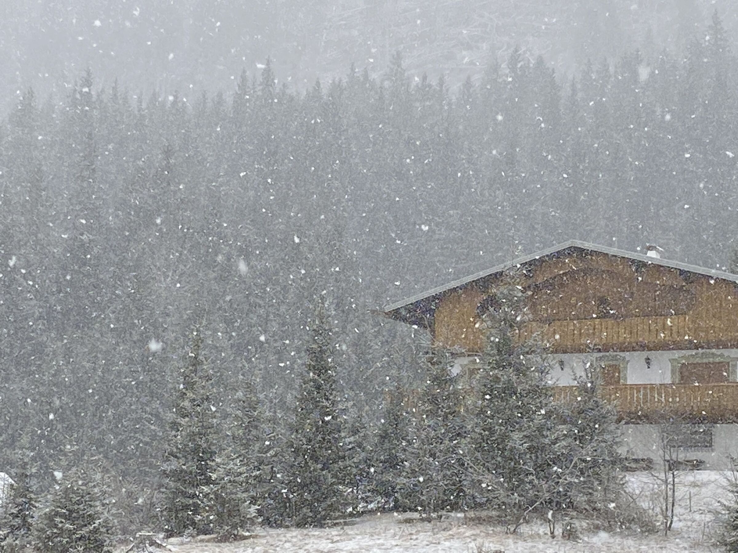 l'ultima nevicata...