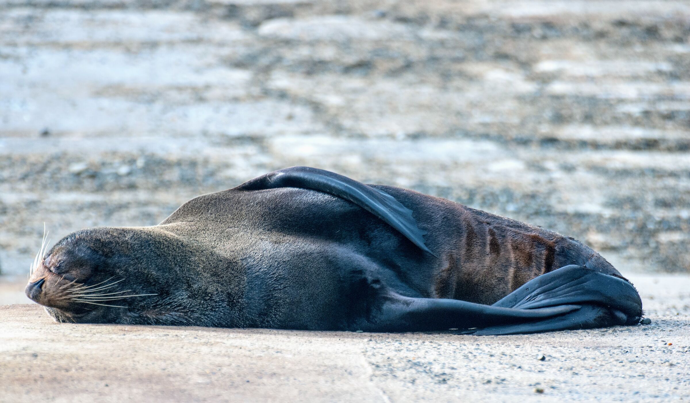 Relaxation.. Take it easy