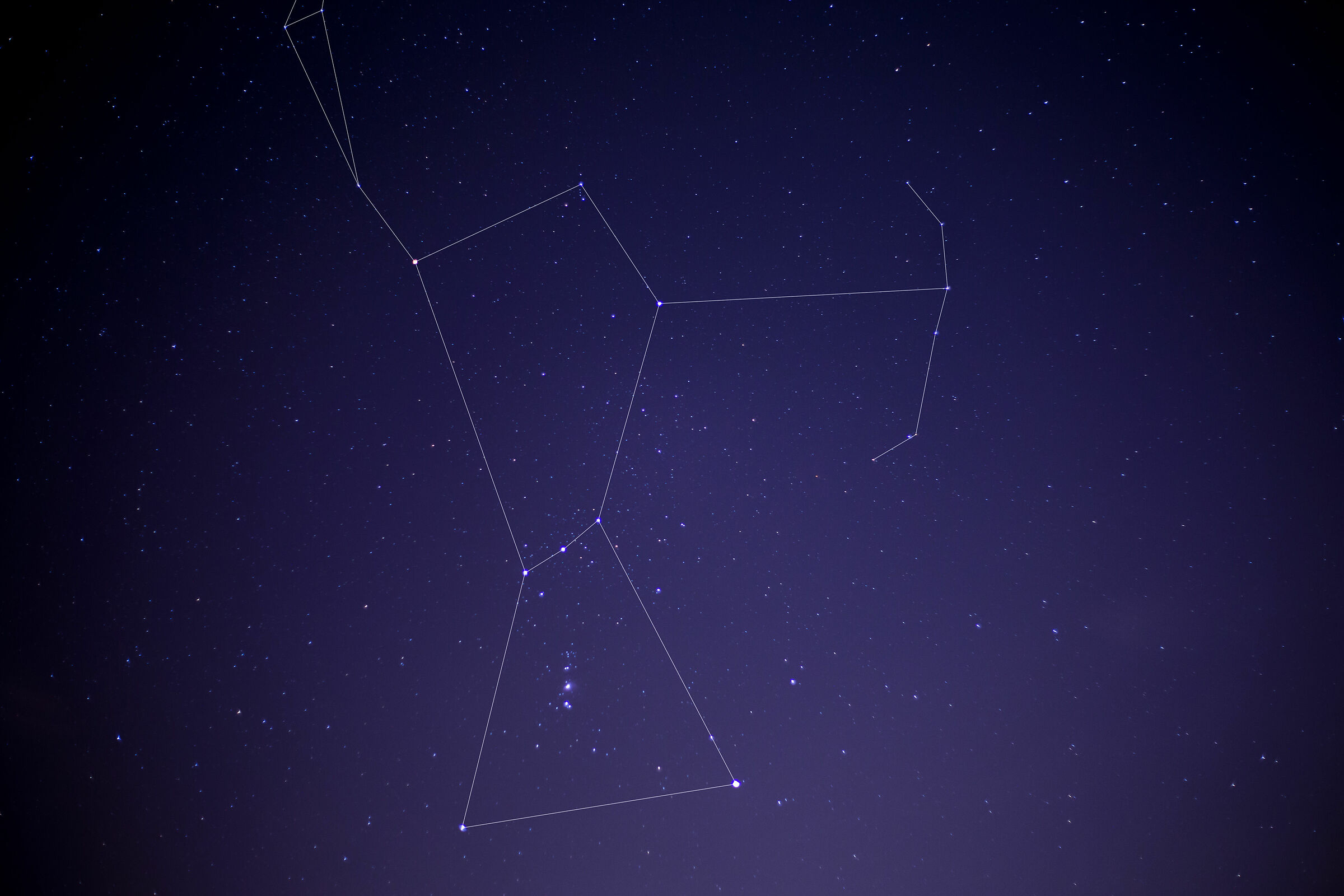 Orion