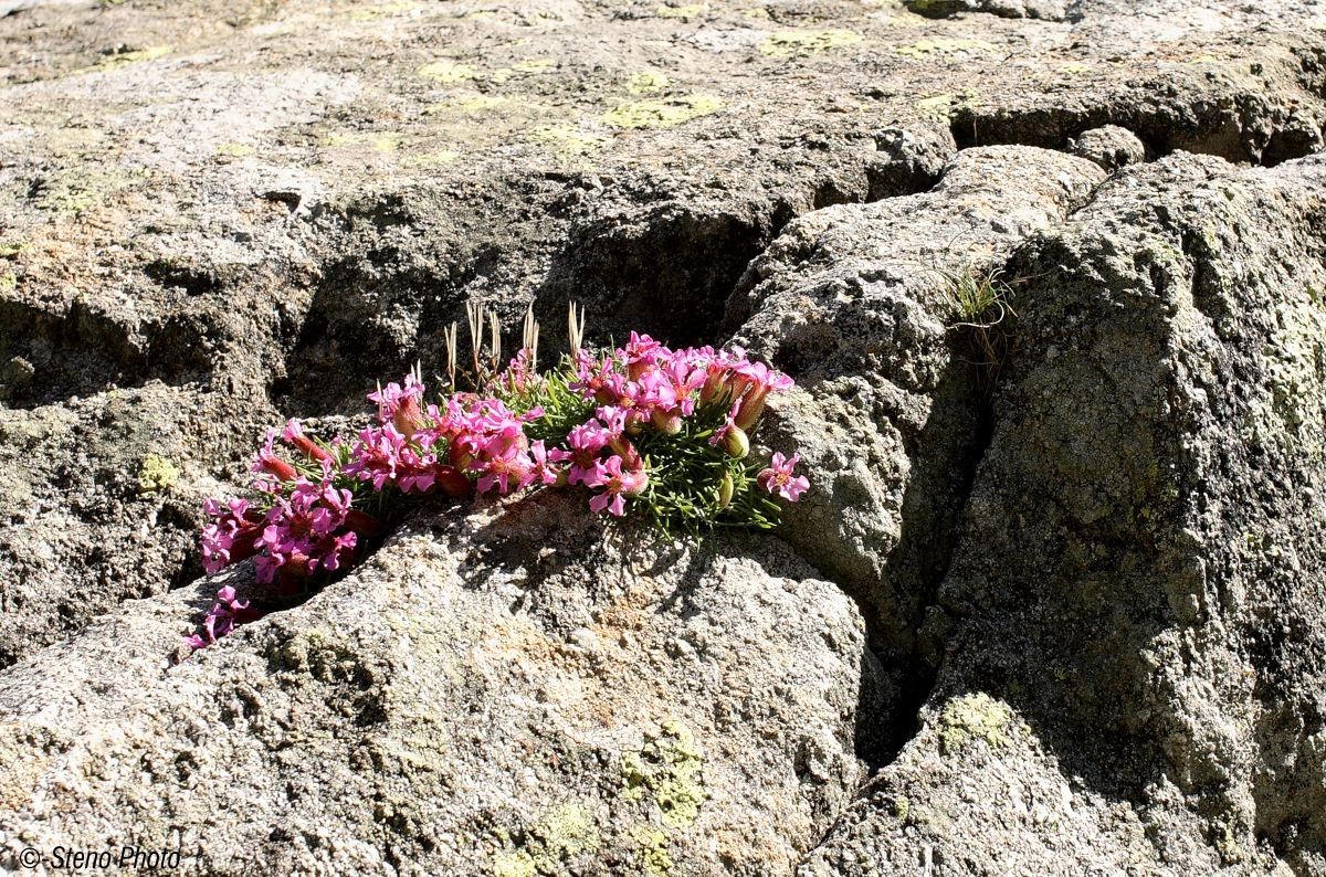 Di ritorno dalla cresta del Frate