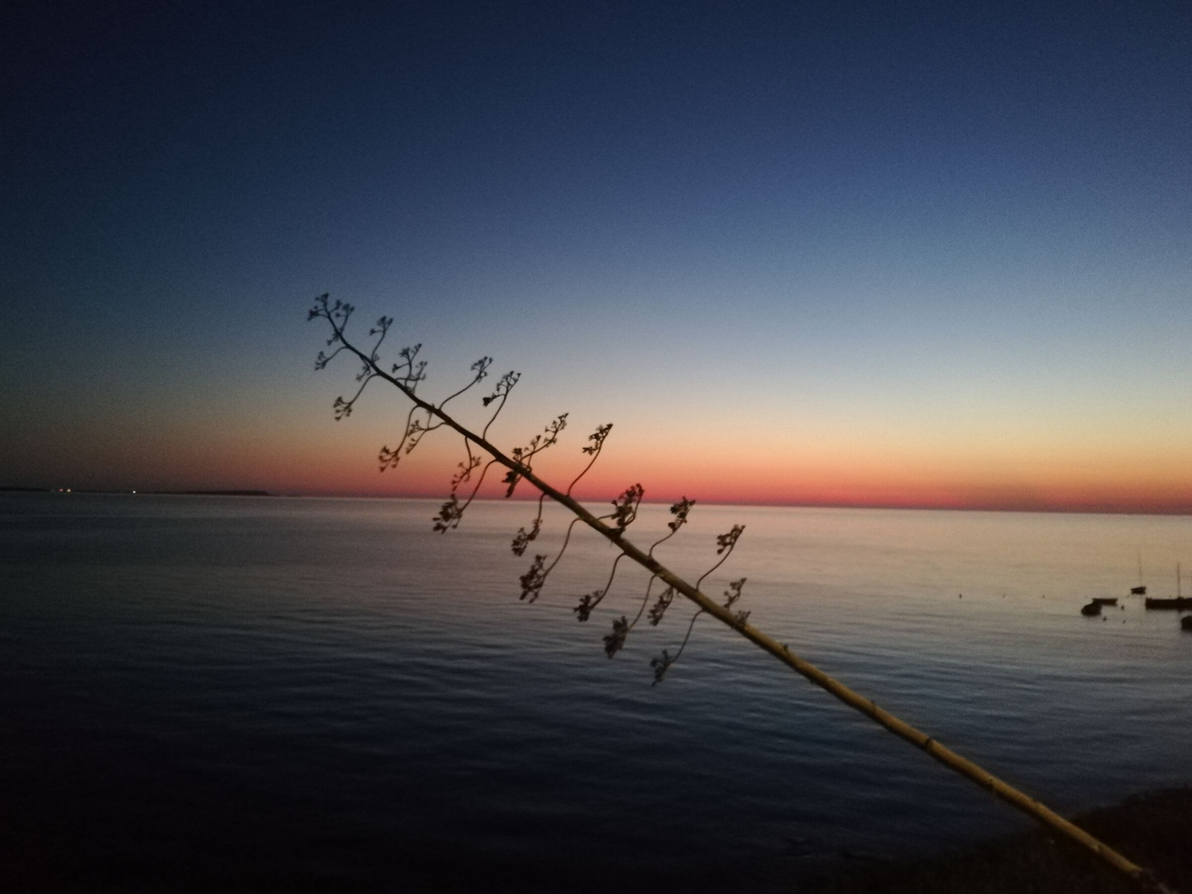Sardinia August 2019