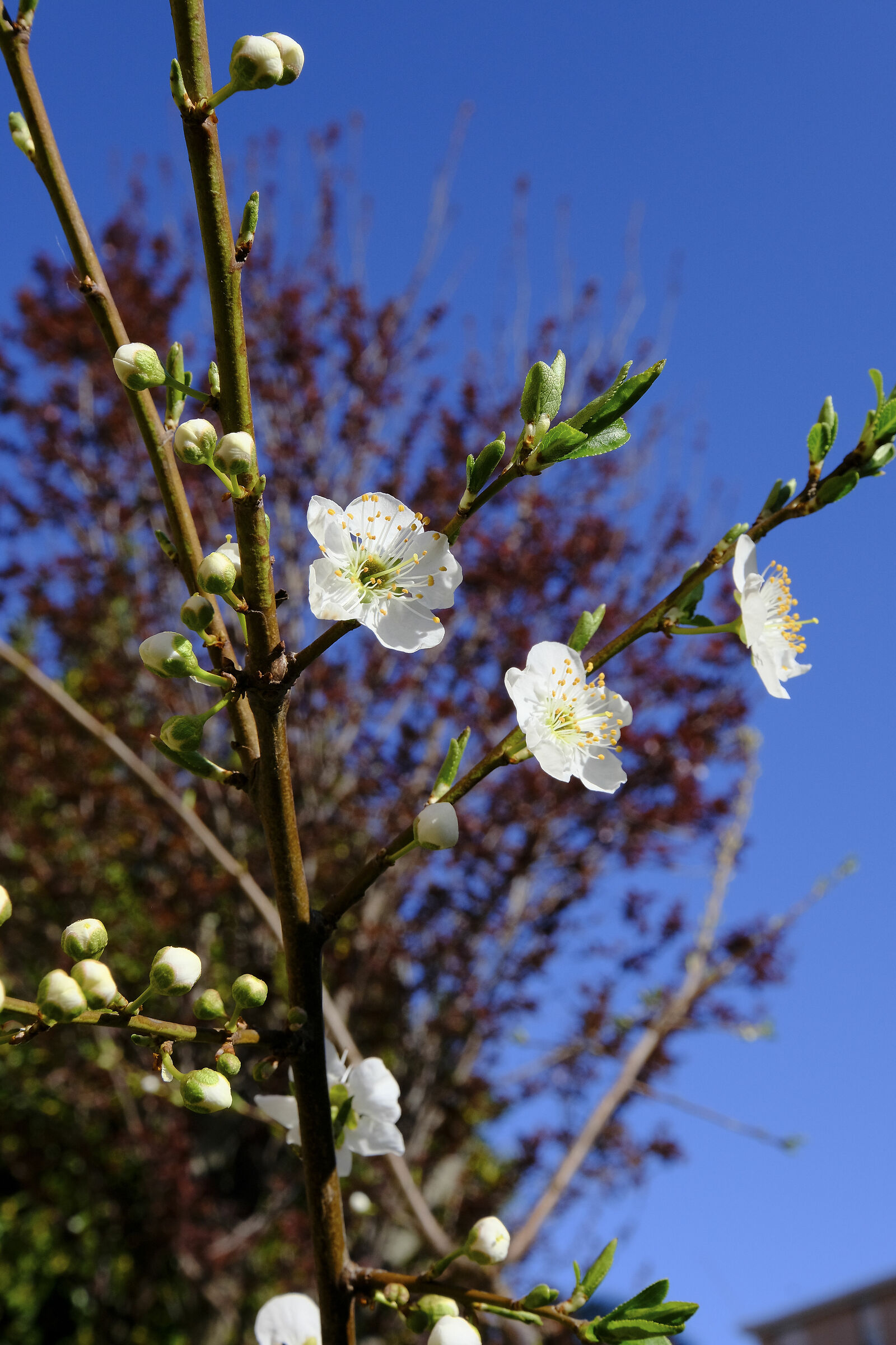 Respiriamo l'ariaaa....è la primaveraaaaaa :)