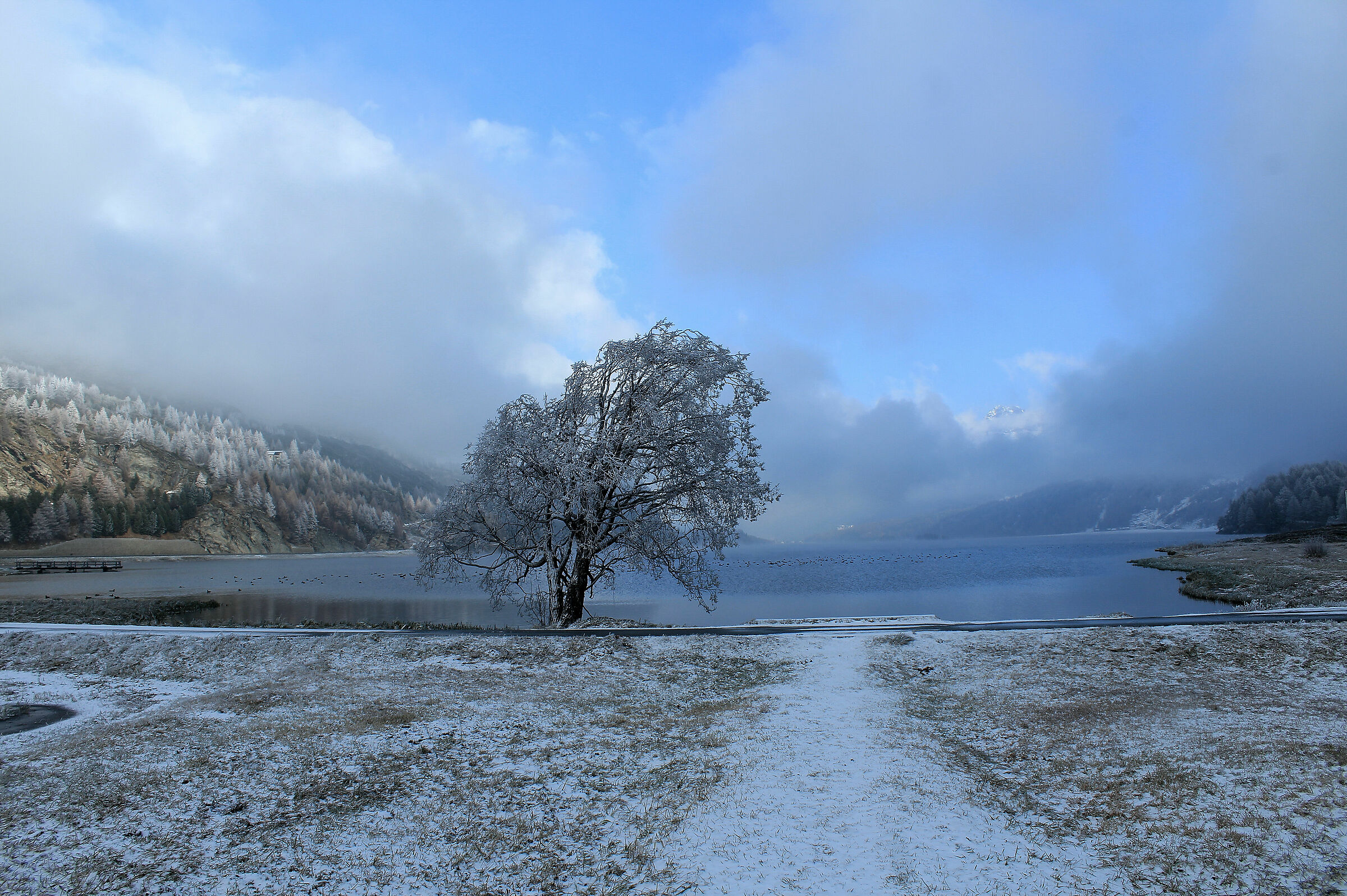 And everything is silent...