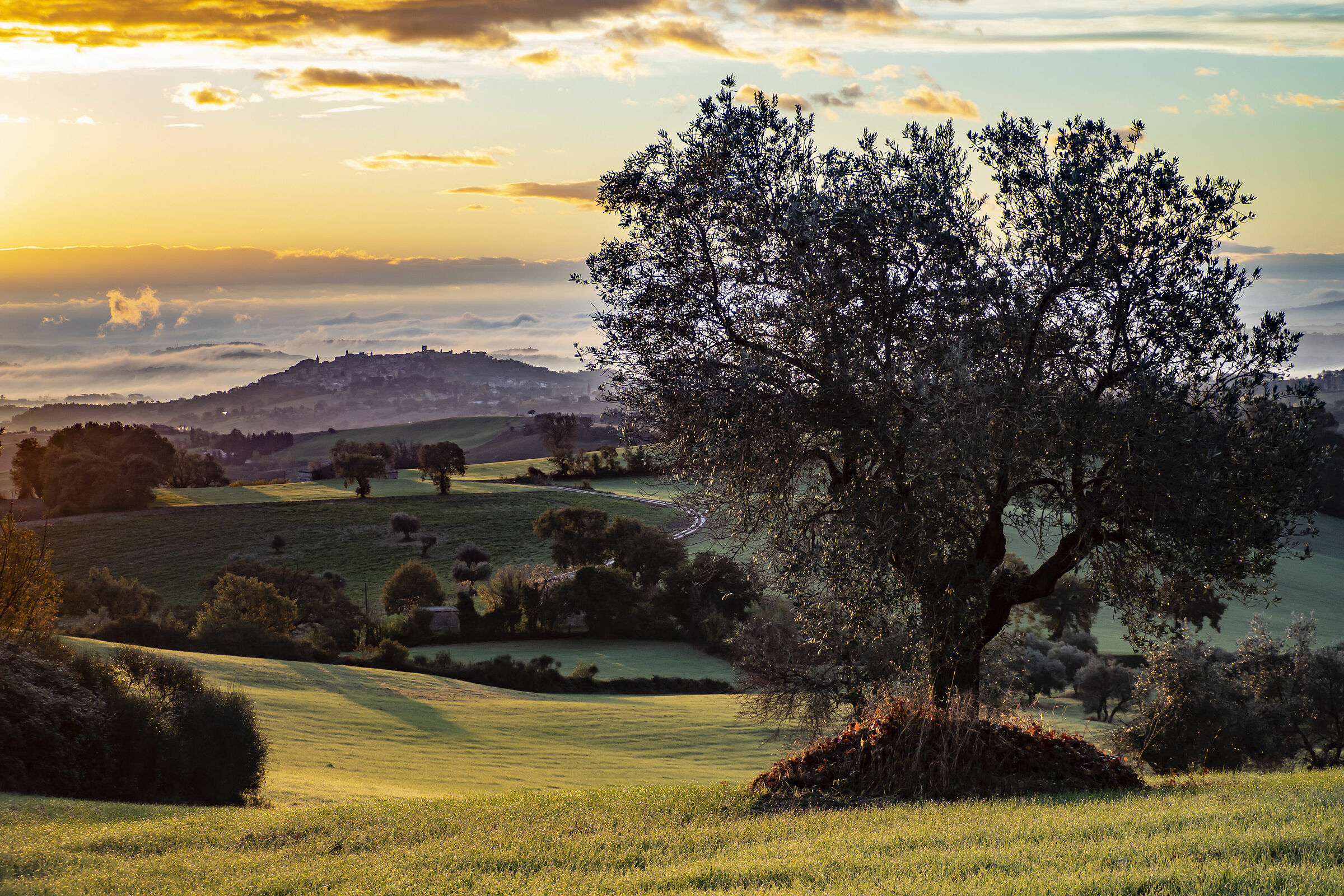 Treia. All'alba. Da Avenale di Cingoli.