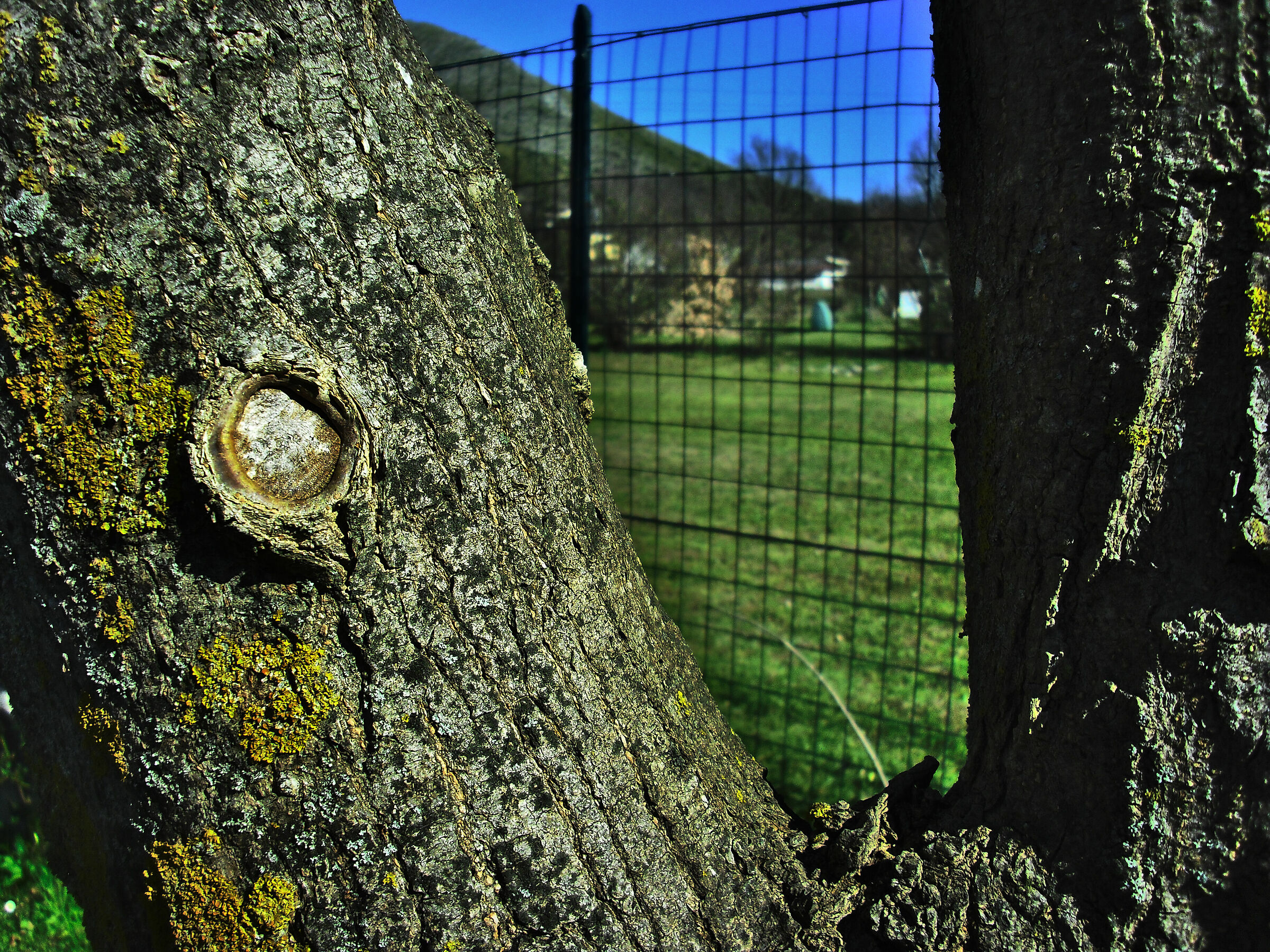 Punto d'osservazione