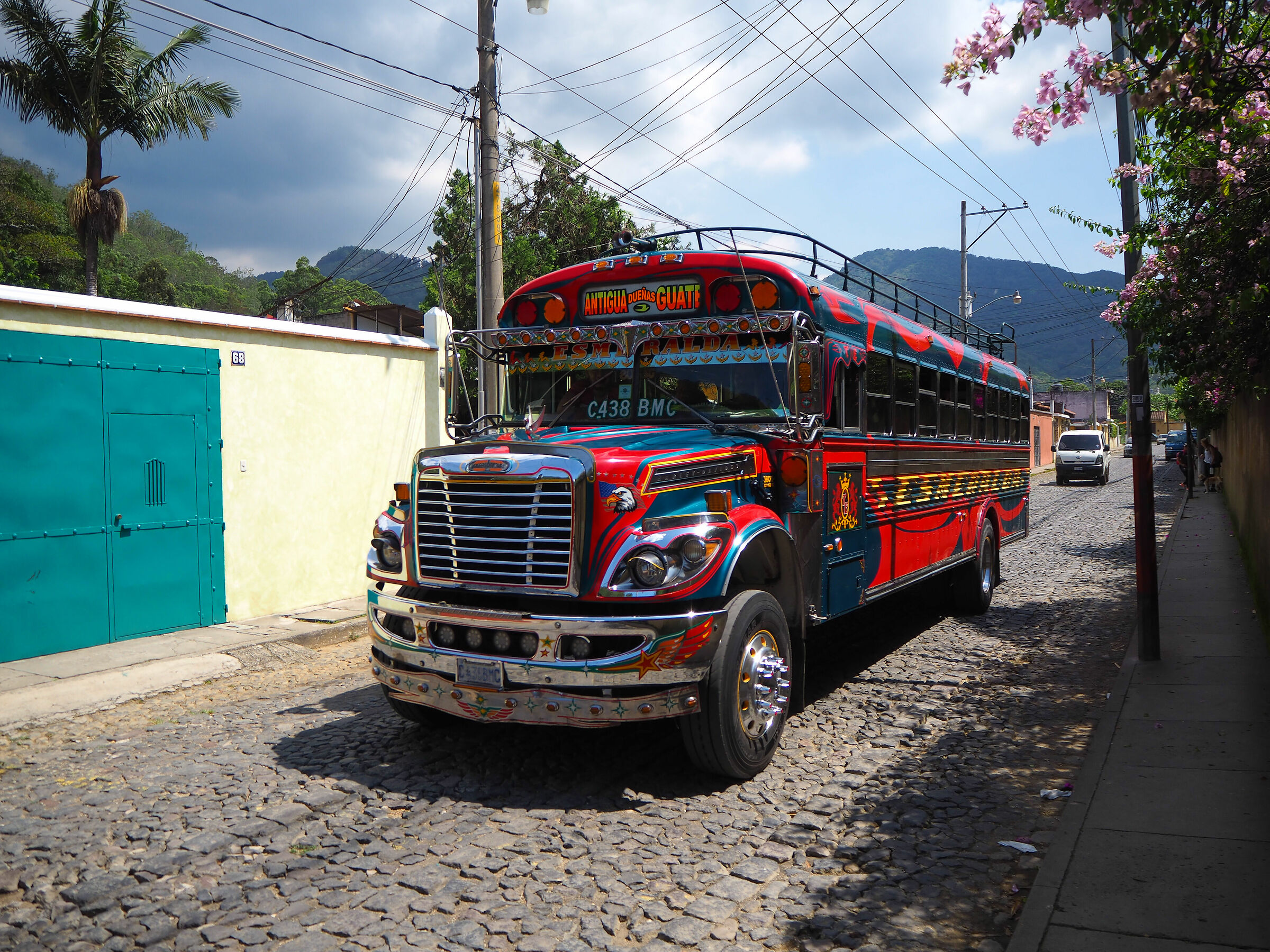 The Colorful Chicken Buses