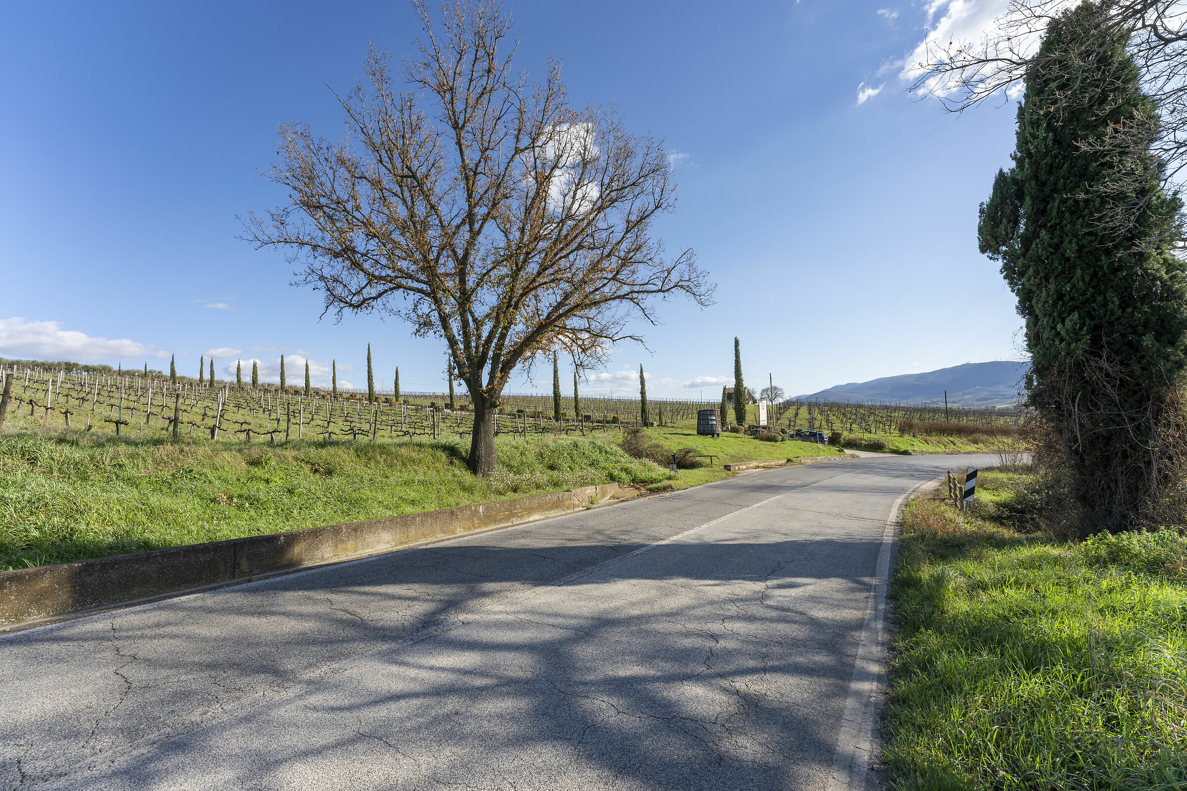Strada del Sagrantino