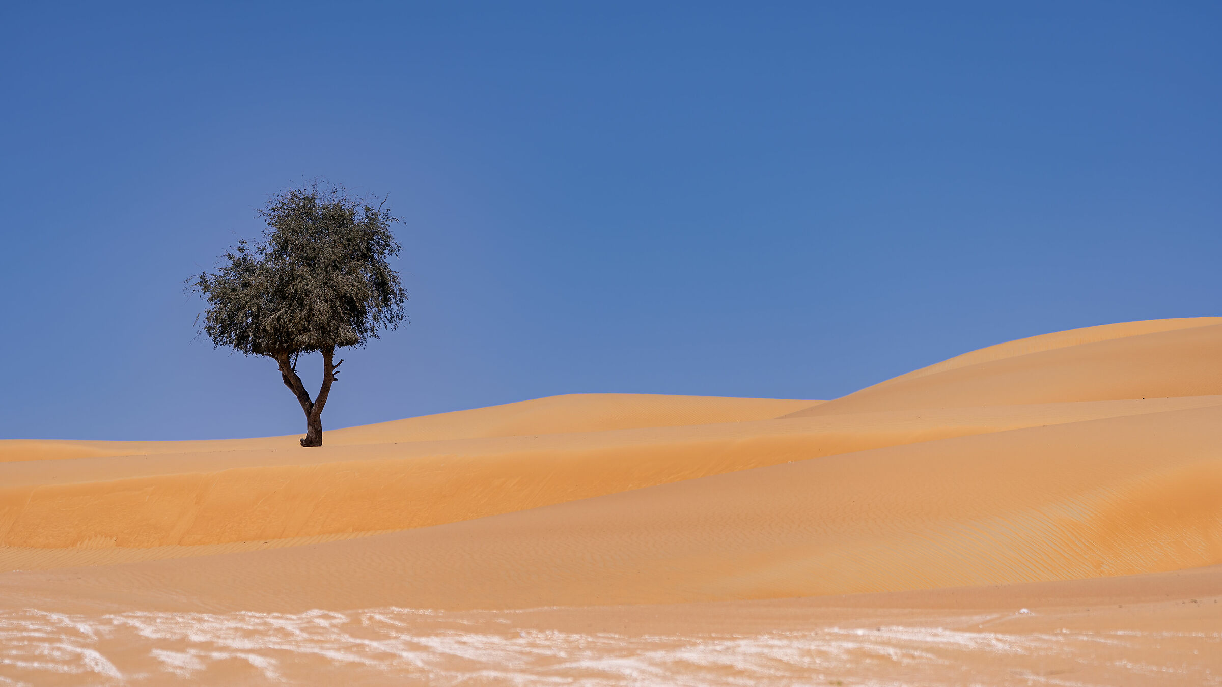 Standing and fighting