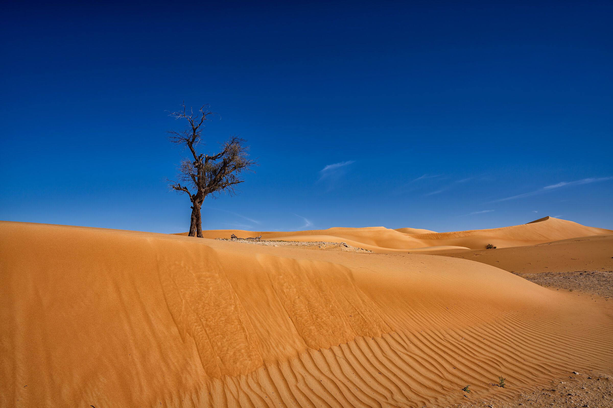 Deserto