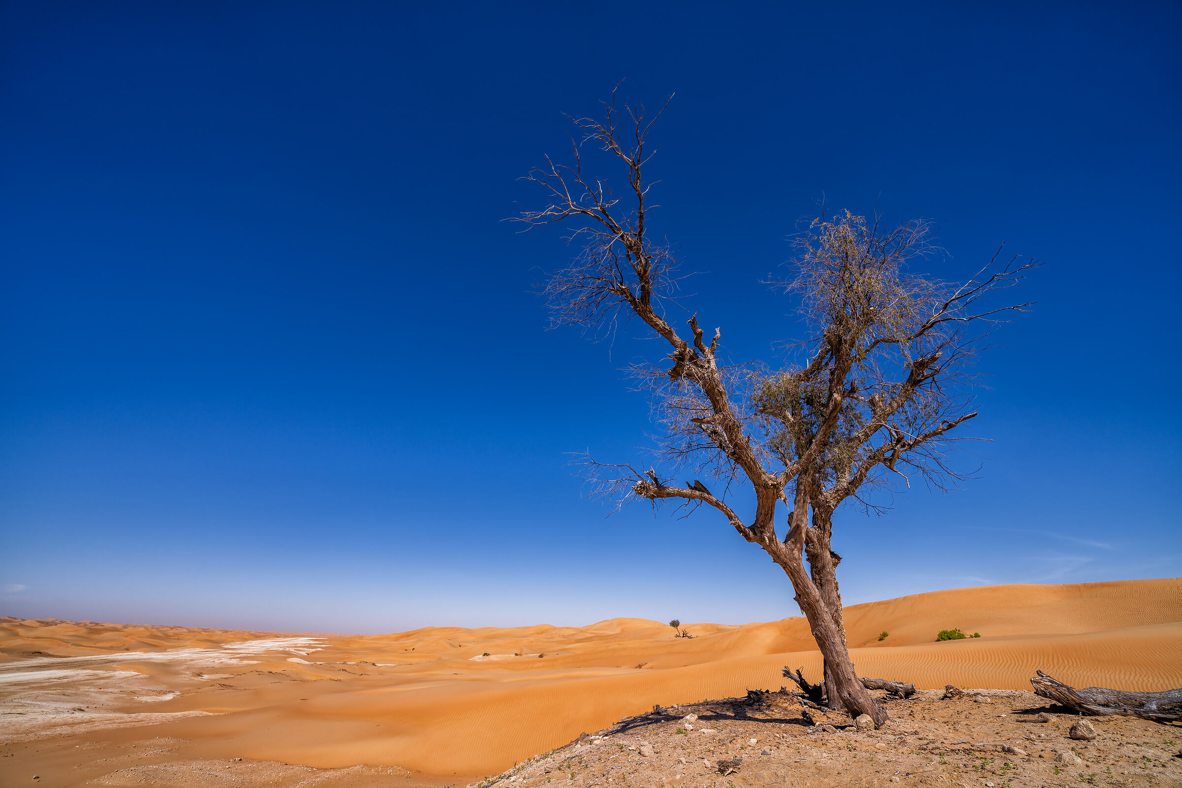Deserto