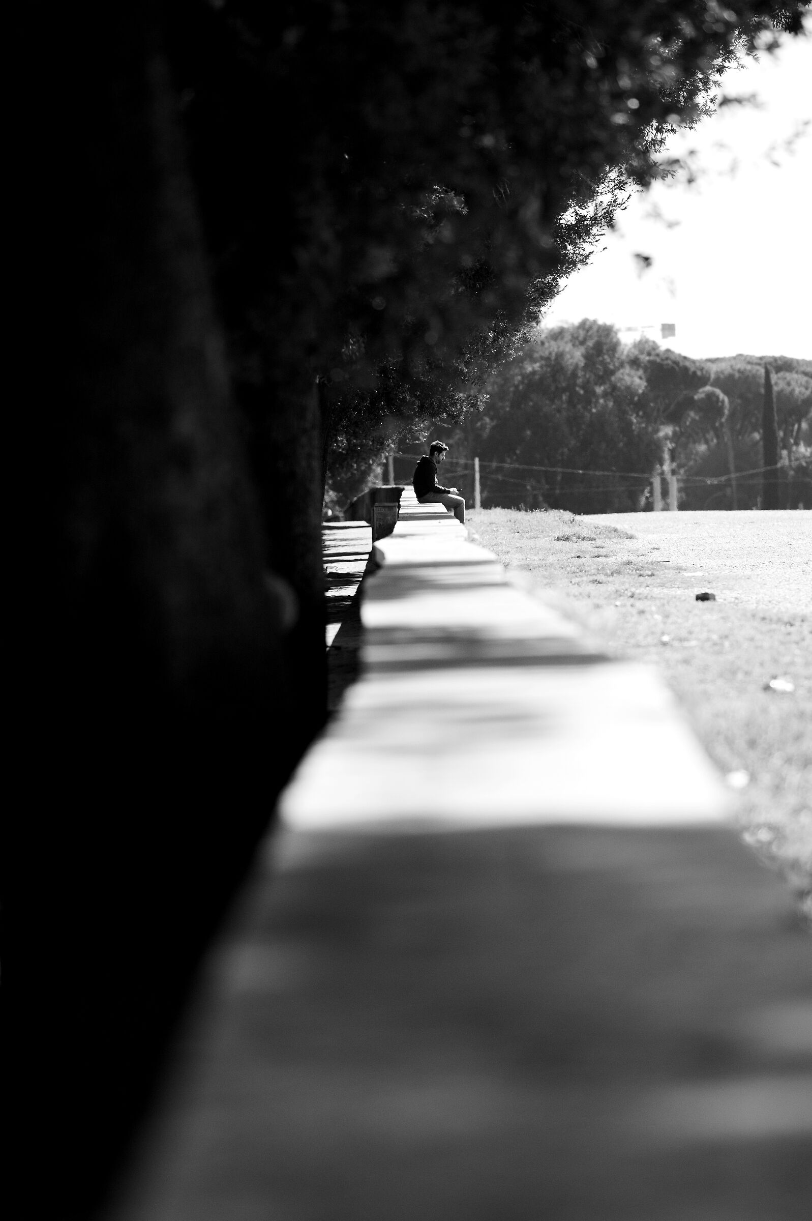 Thinking about the virus crown