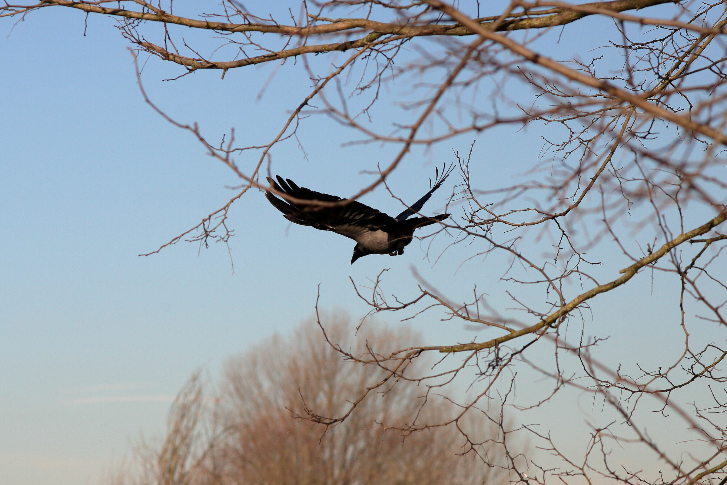 I'm flying...