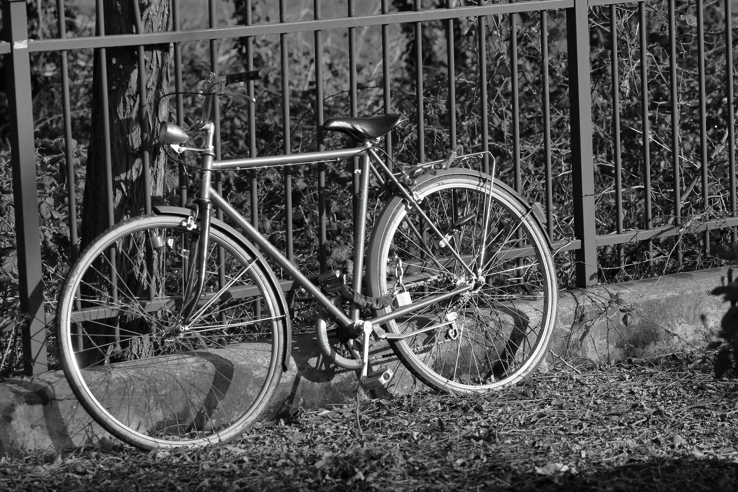 One-time bikes