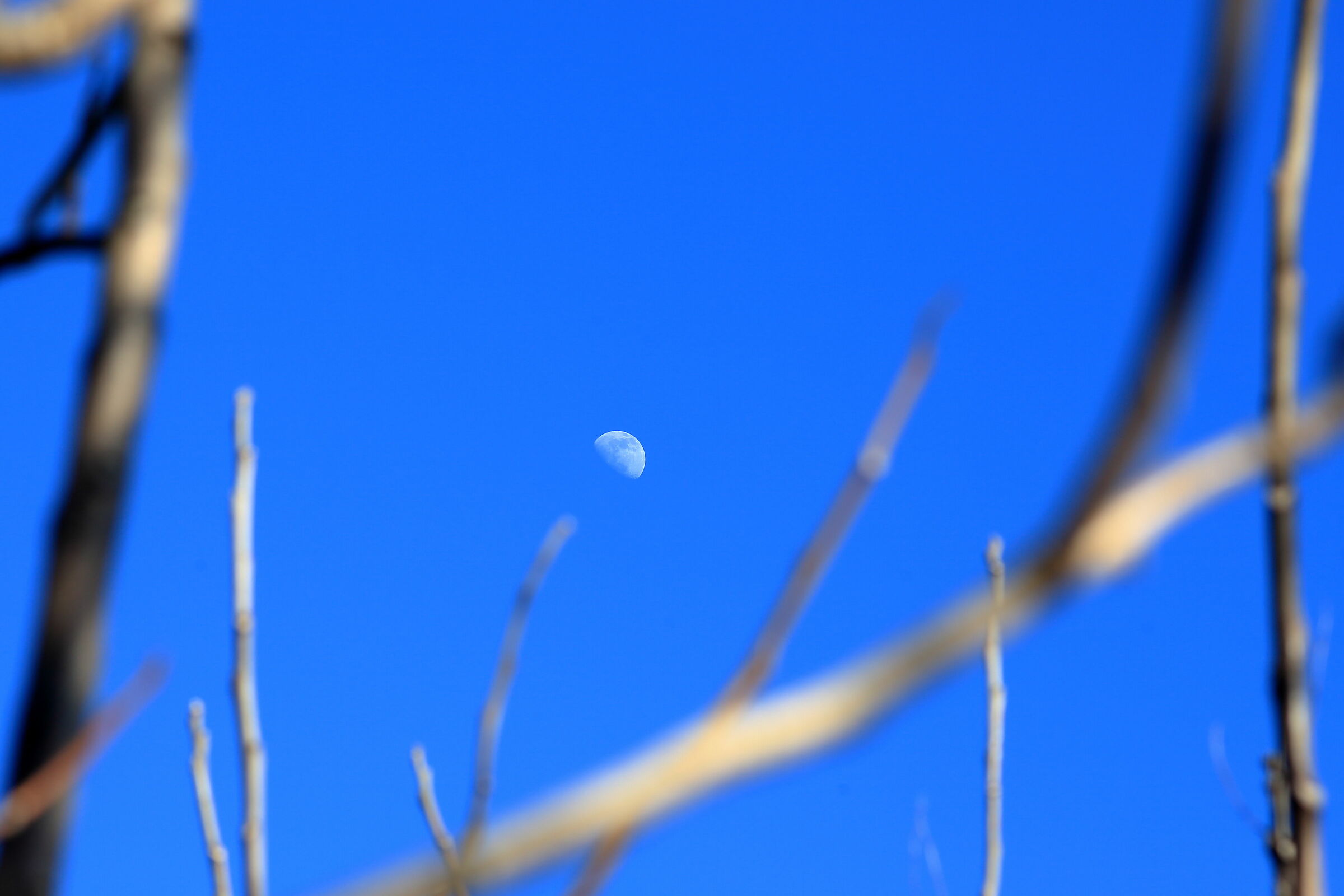 Fly me to the moon