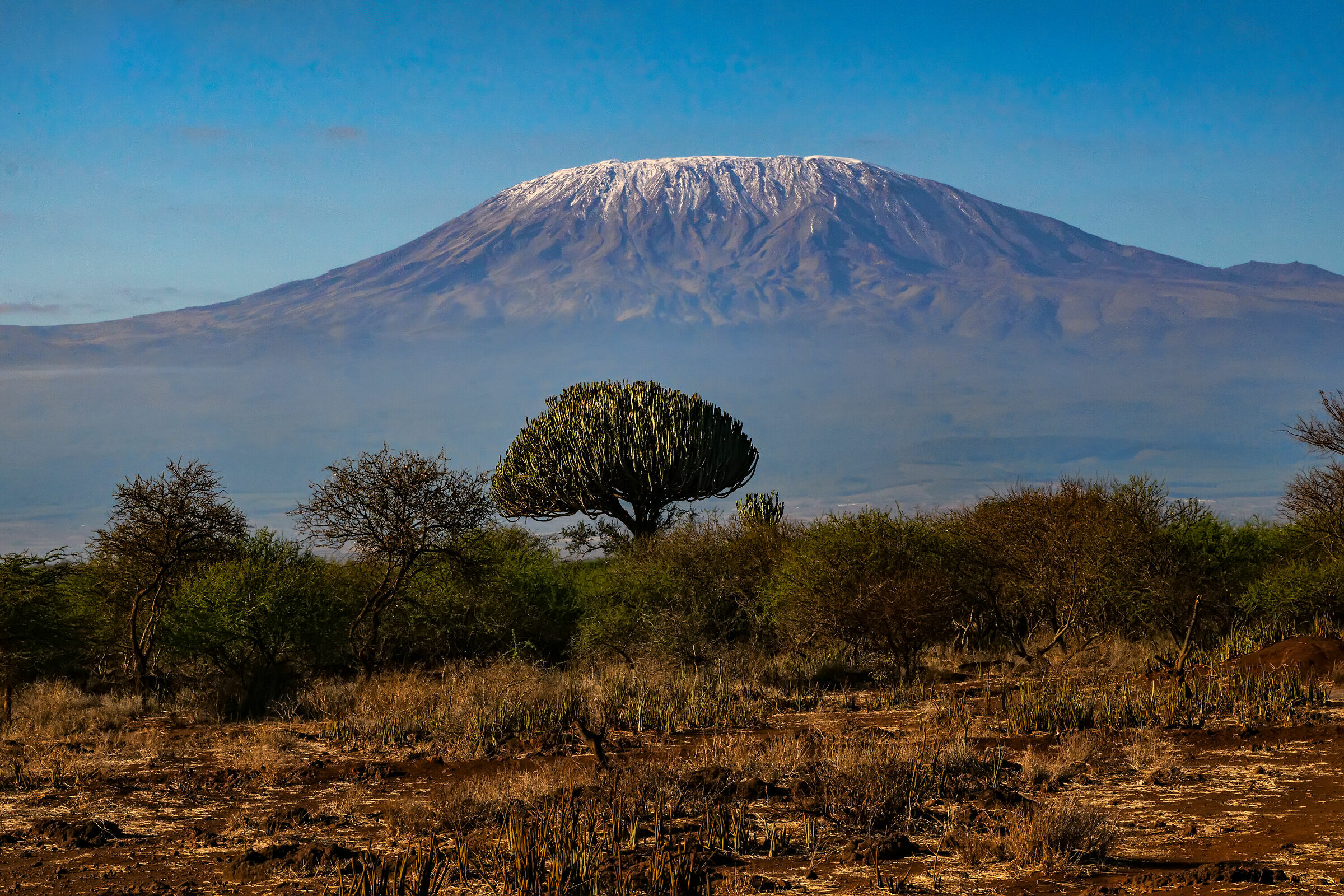 Kenya and Kilimanjaro
