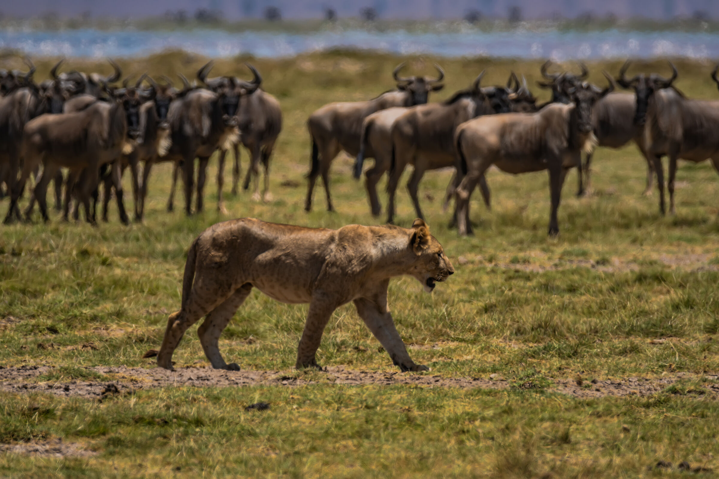 Well today I'm not hungry