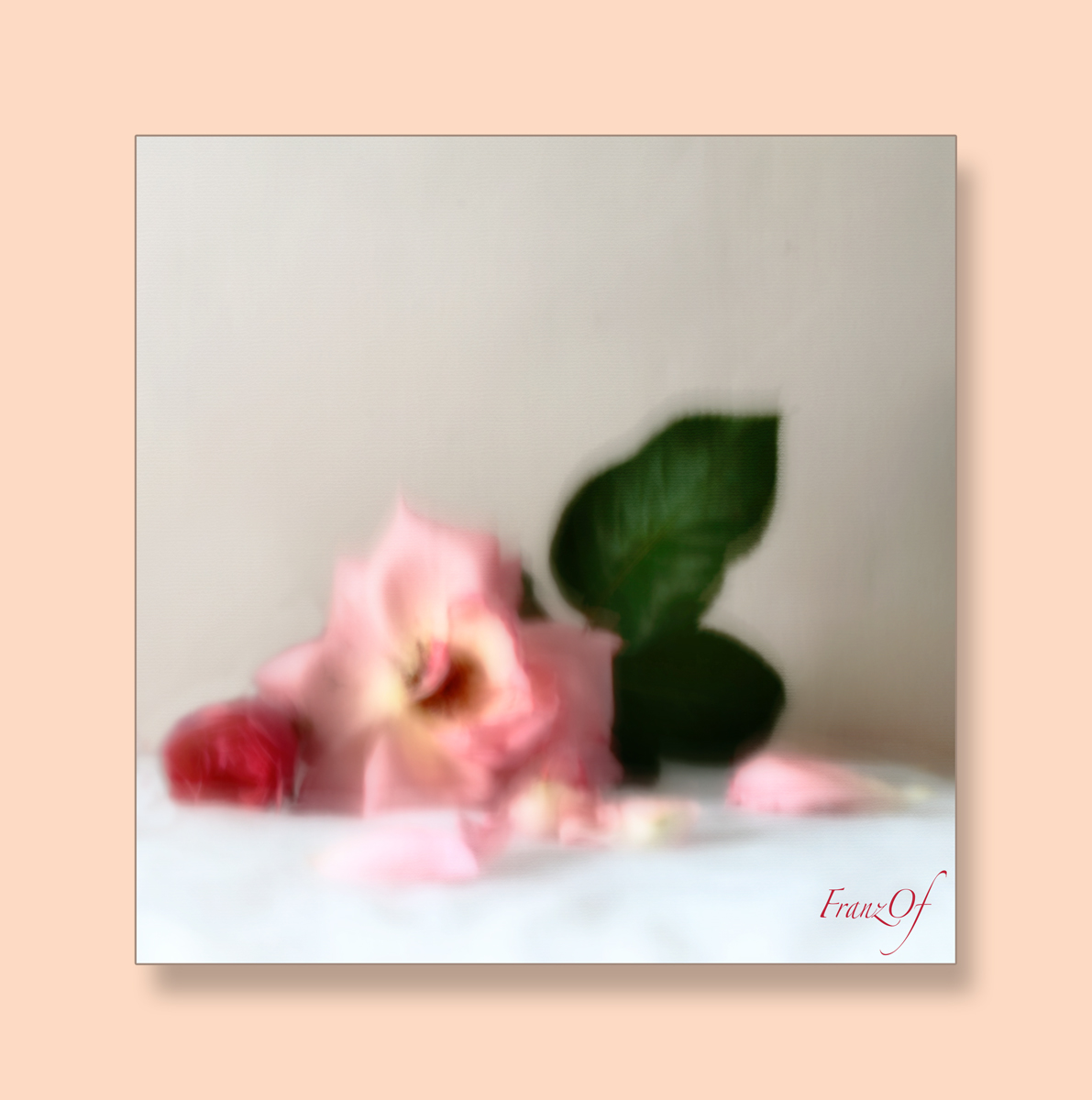 Fiori, meraviglie del creato