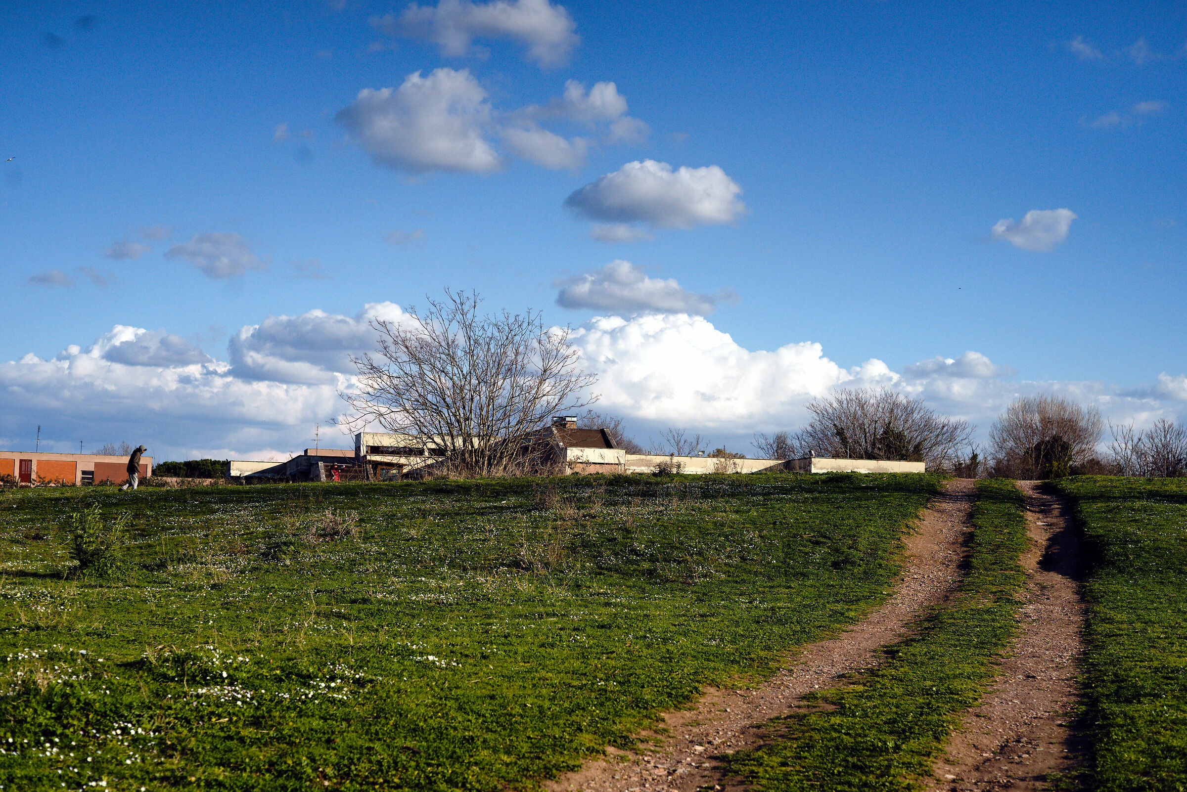 tra città e campagna 2