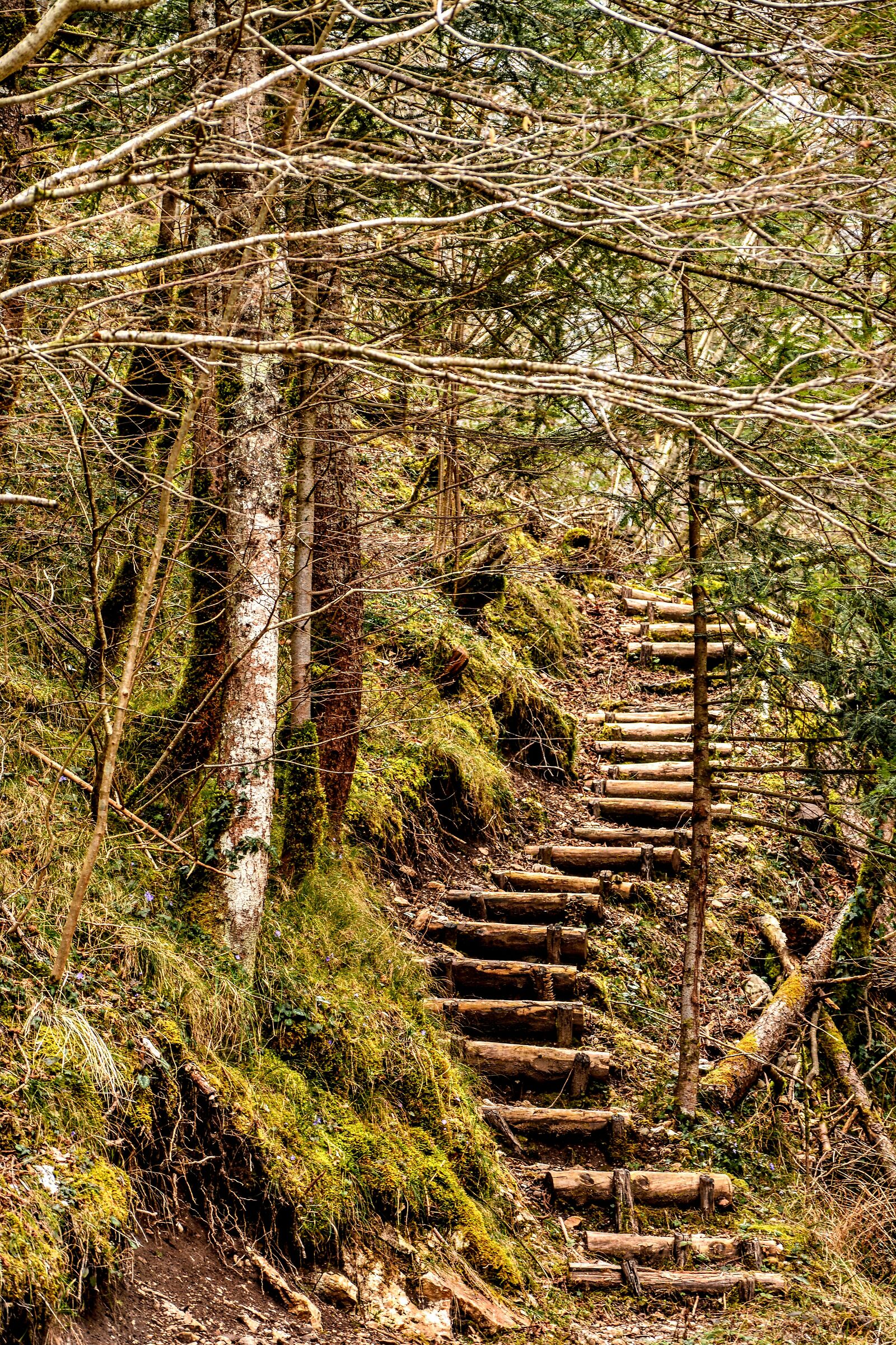 La scala dei folletti