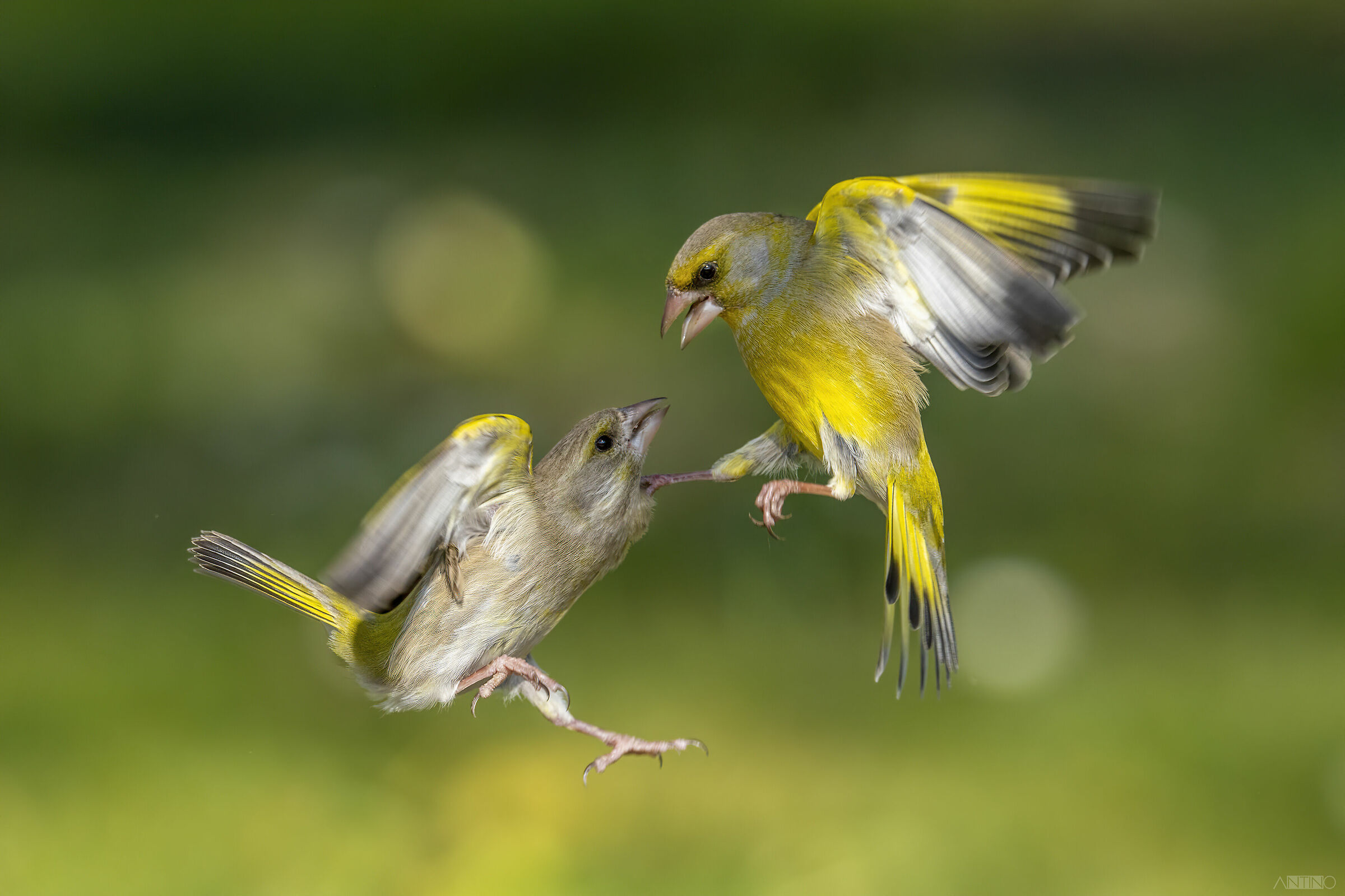 A un metro di distanza...