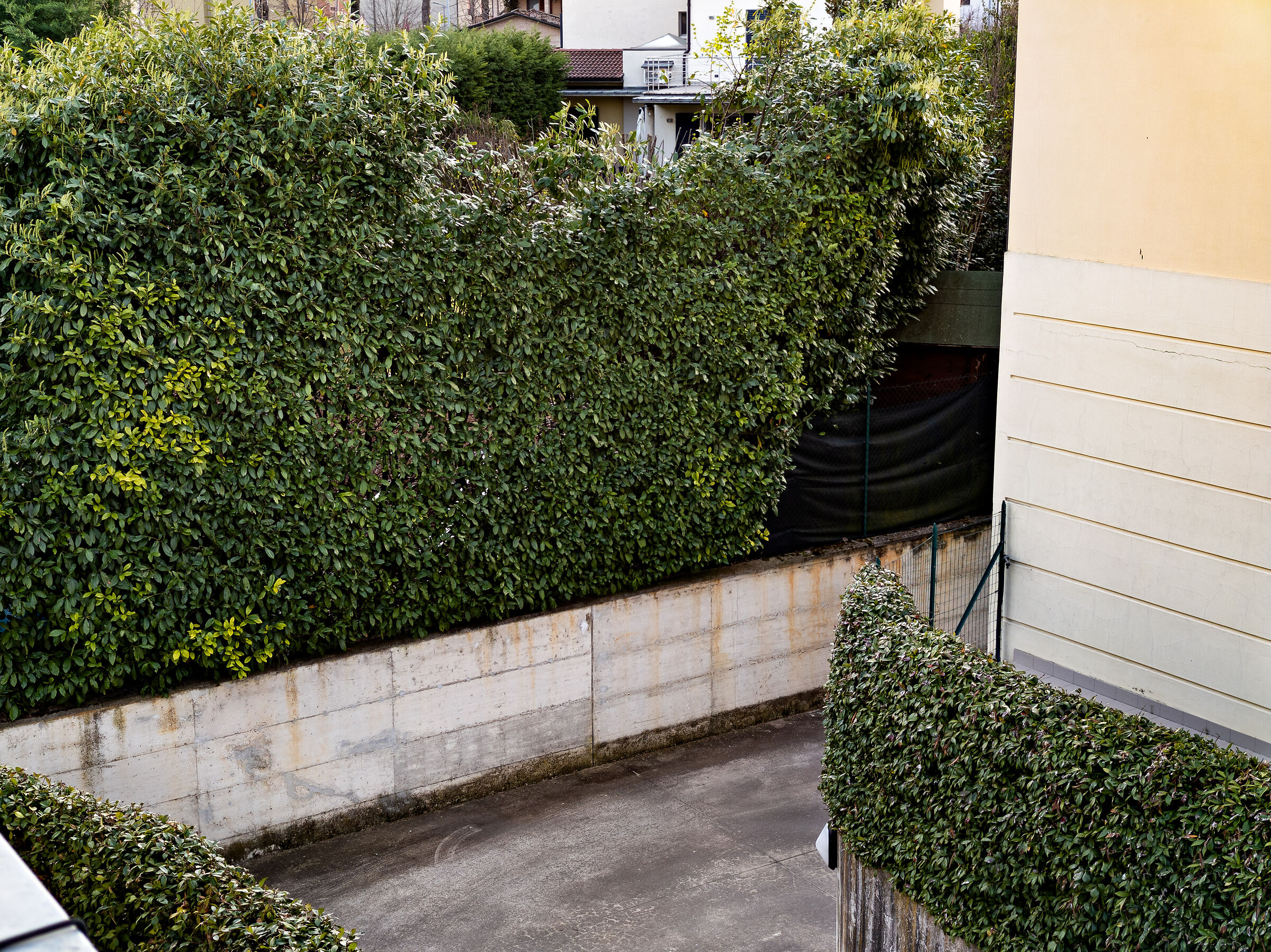 Sample 2X camera (50mm) Xiaomi Mi Note 10 with GCam