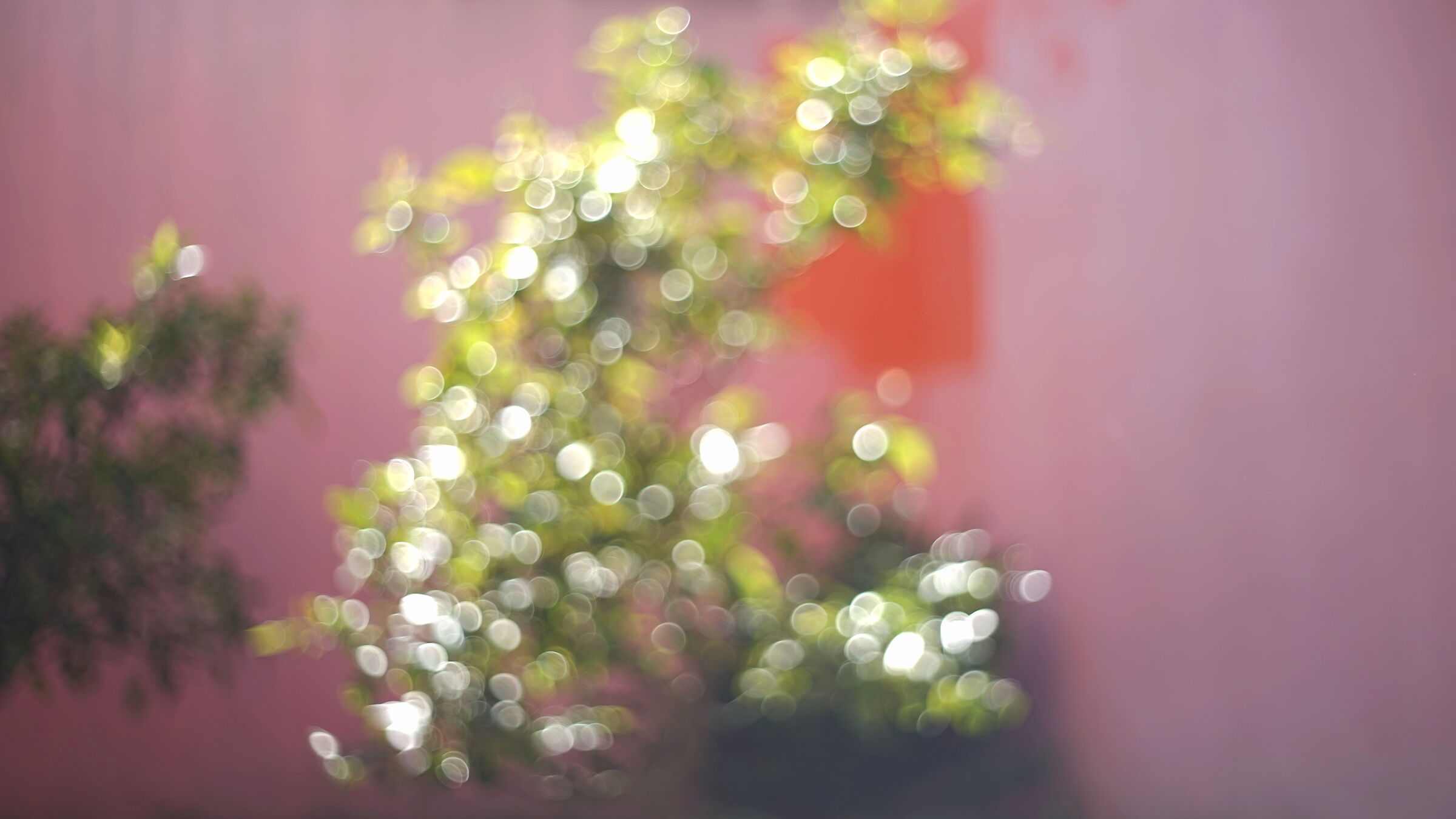 March Christmas Tree...