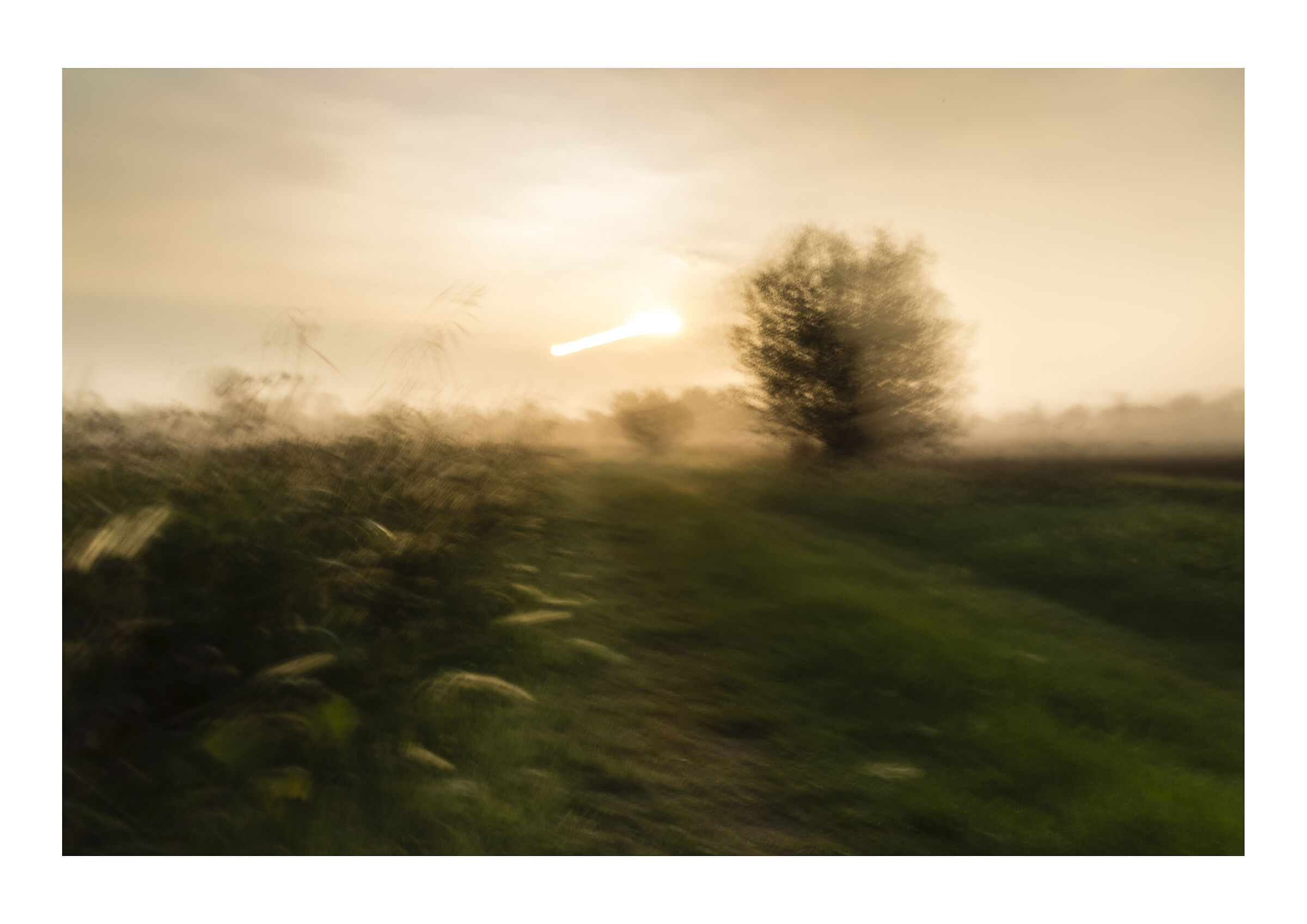 New dawn, changes of light