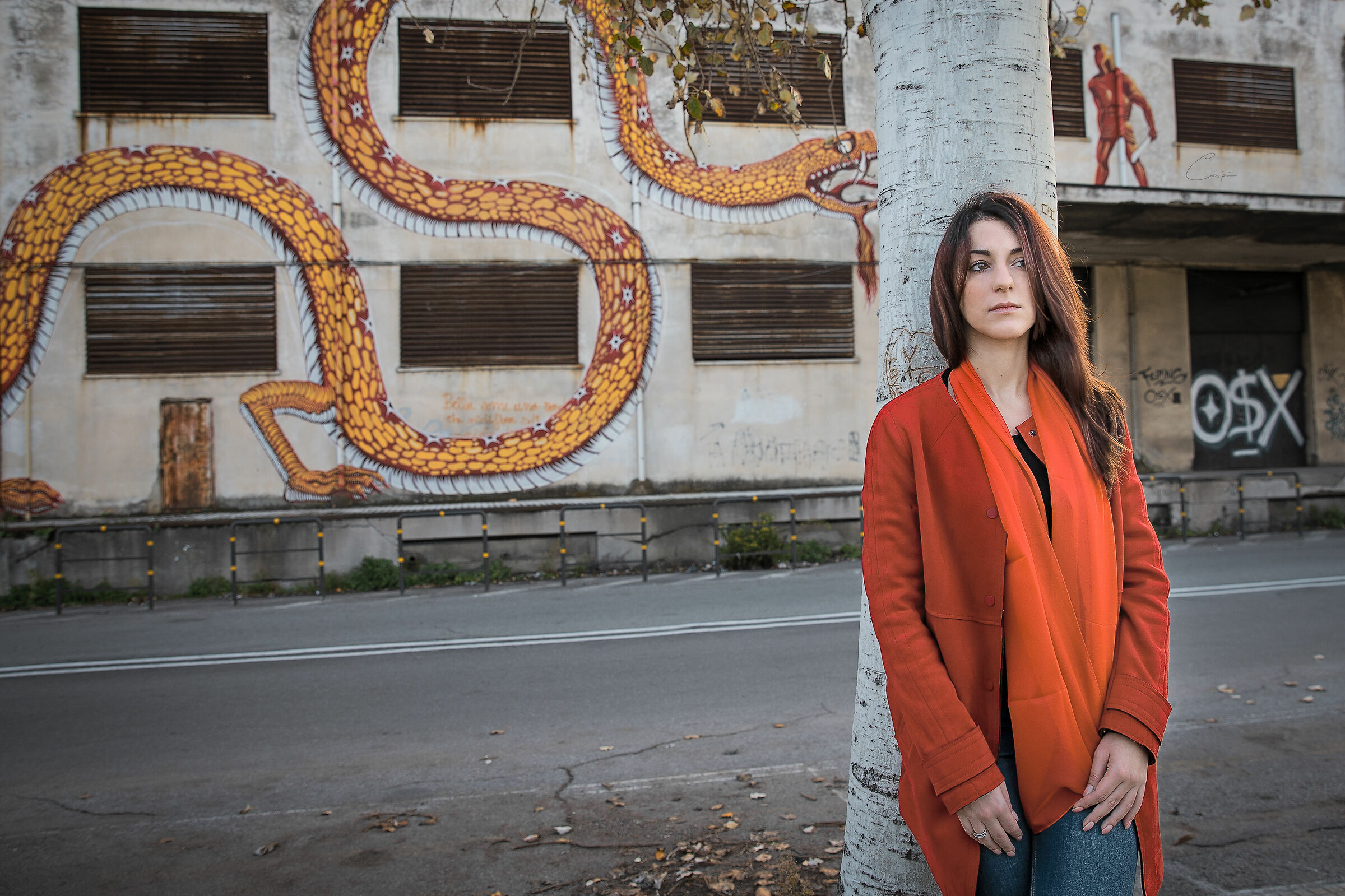 The Dragon and the Warrior