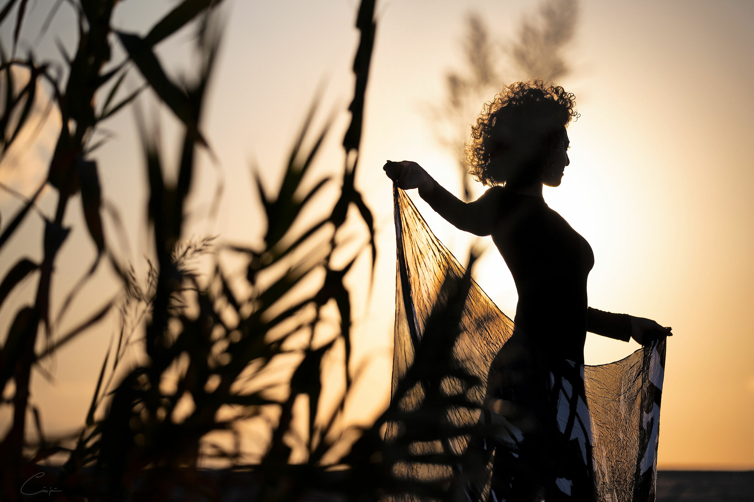 We are lights and shadows in constant contrast...