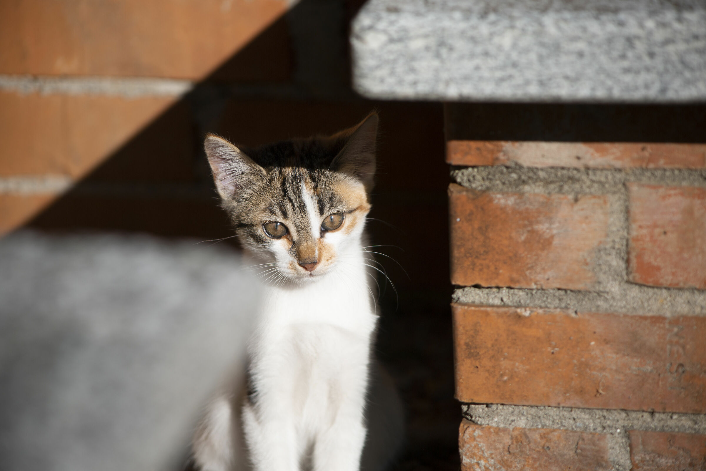 Almost monochromatic