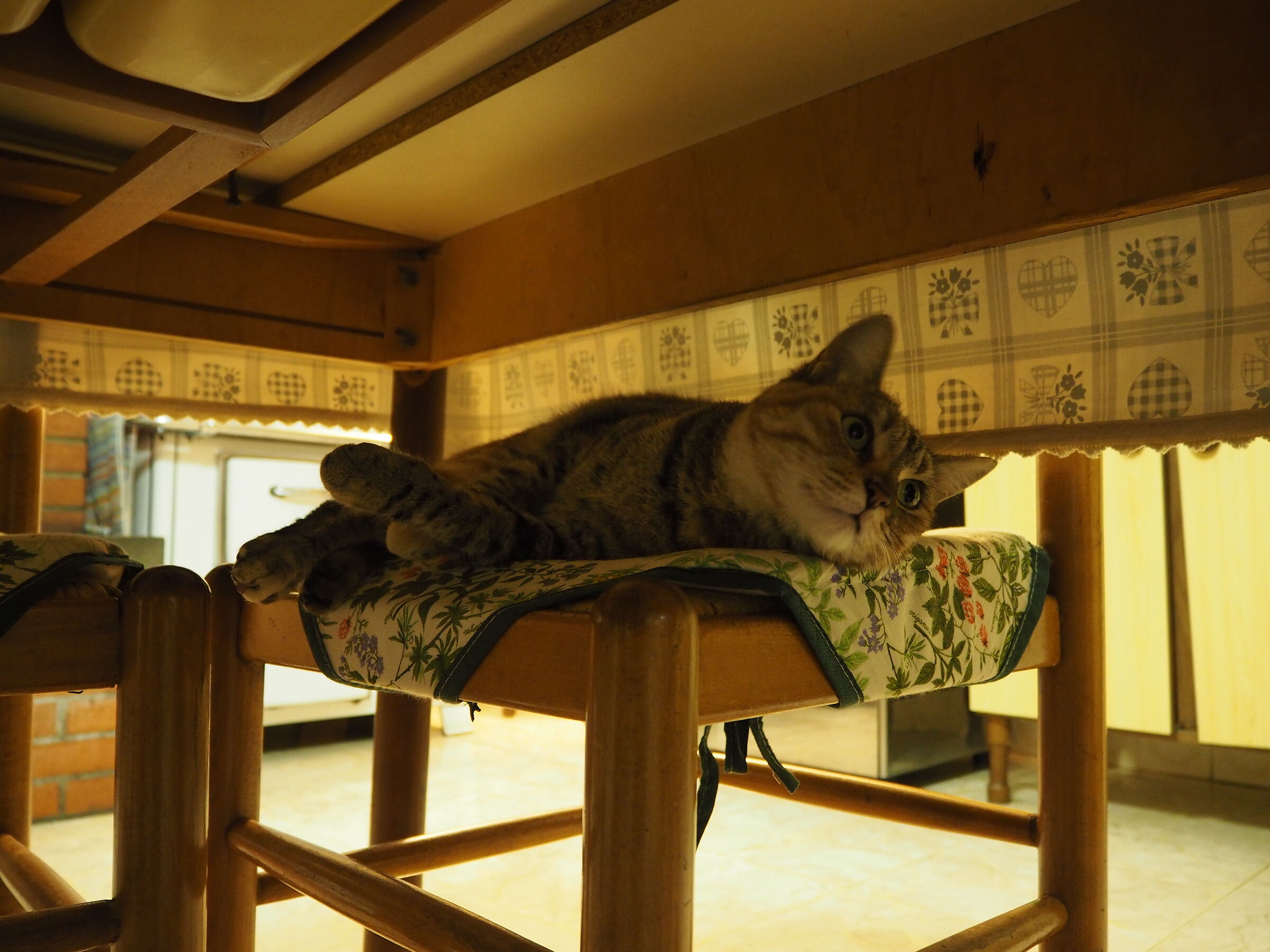 Back sleep