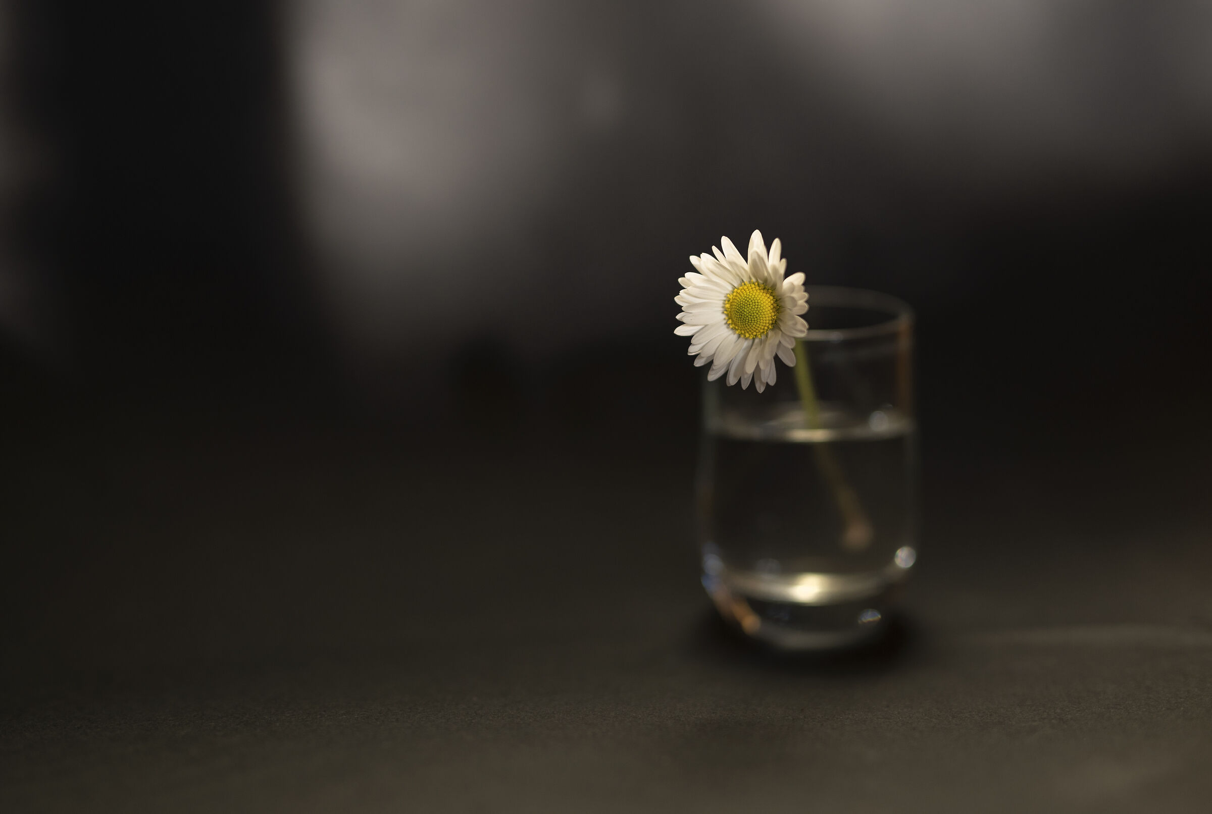 Marzo ai tempi del coronavirus