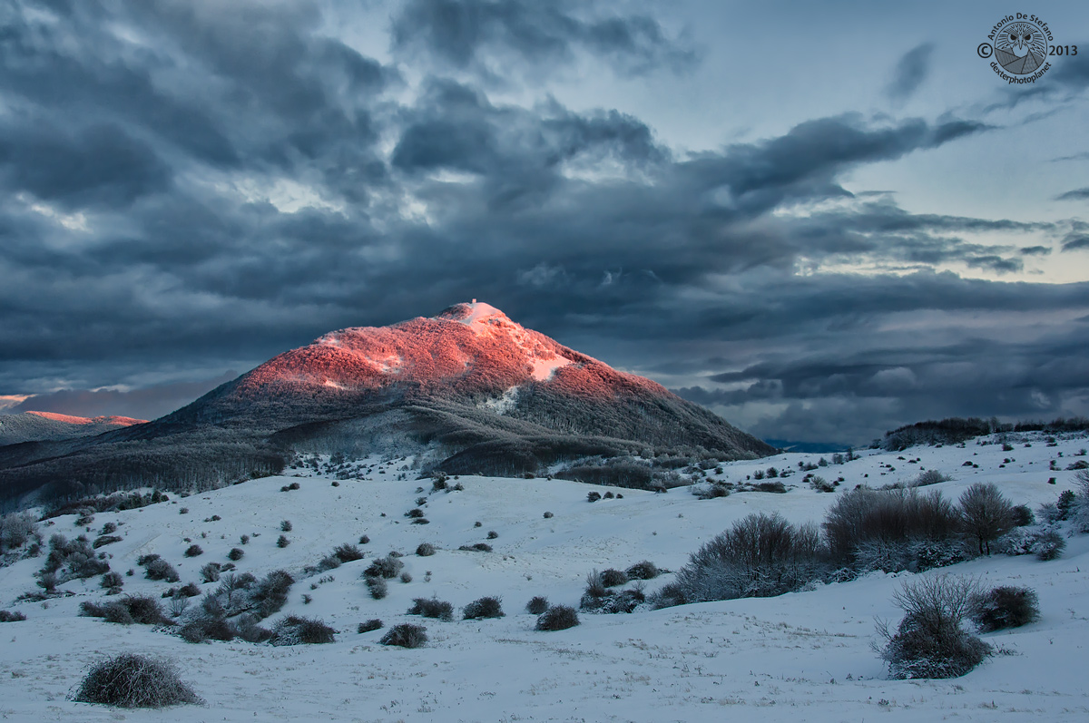 White, pink and blue