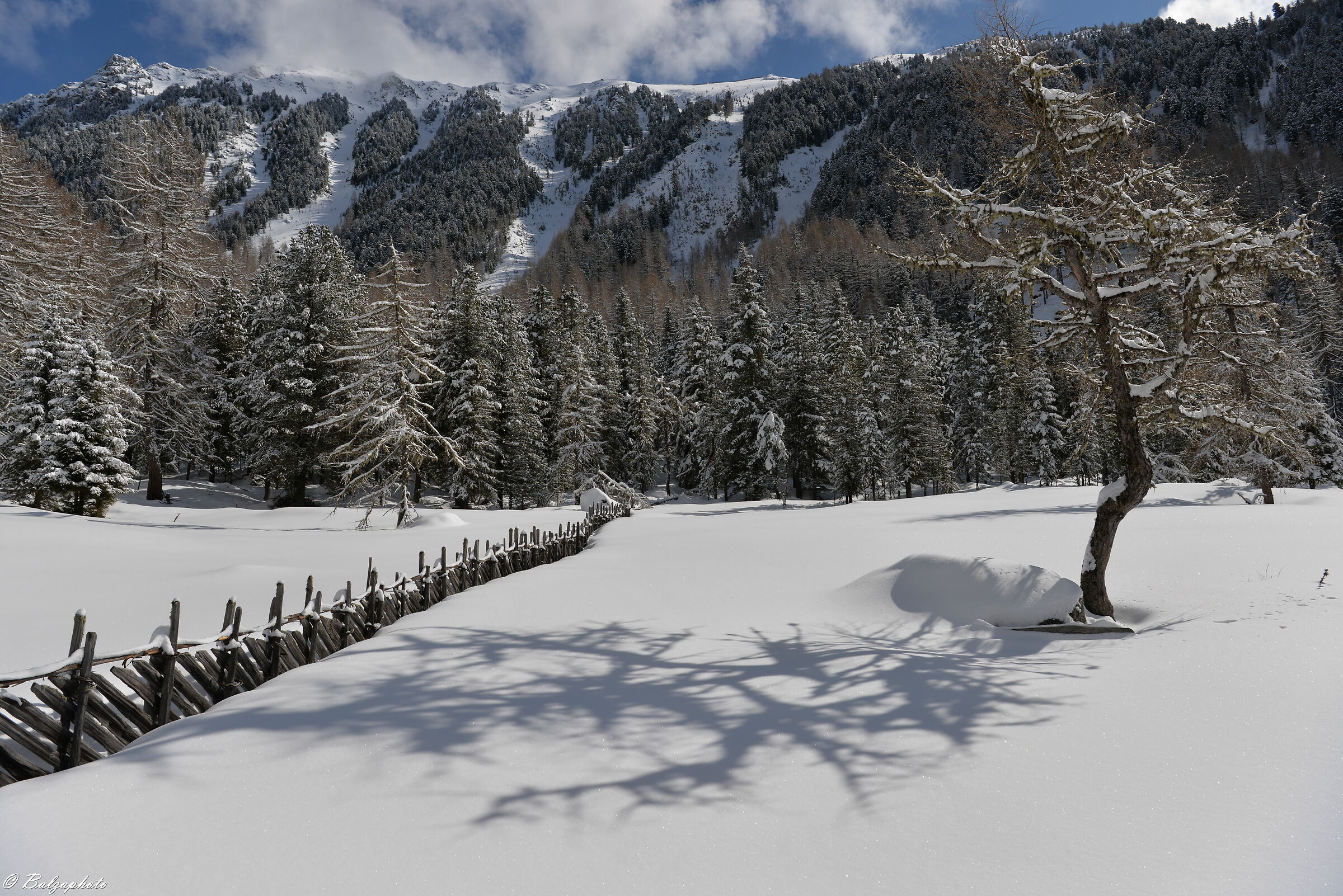 Parco naturale Vedrette di Ries