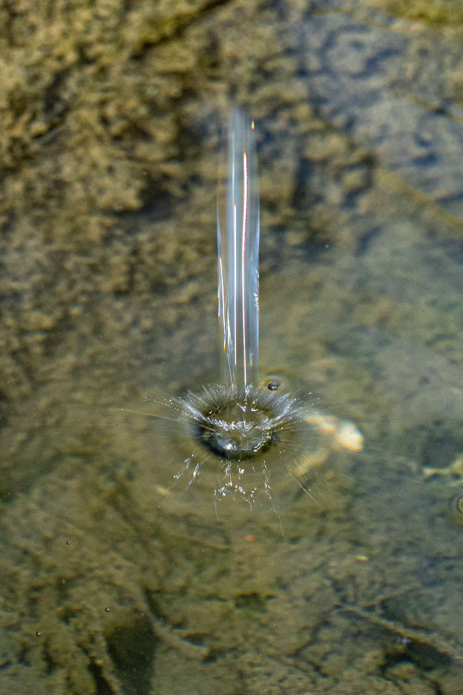 a drop, between sun and thunderstorm