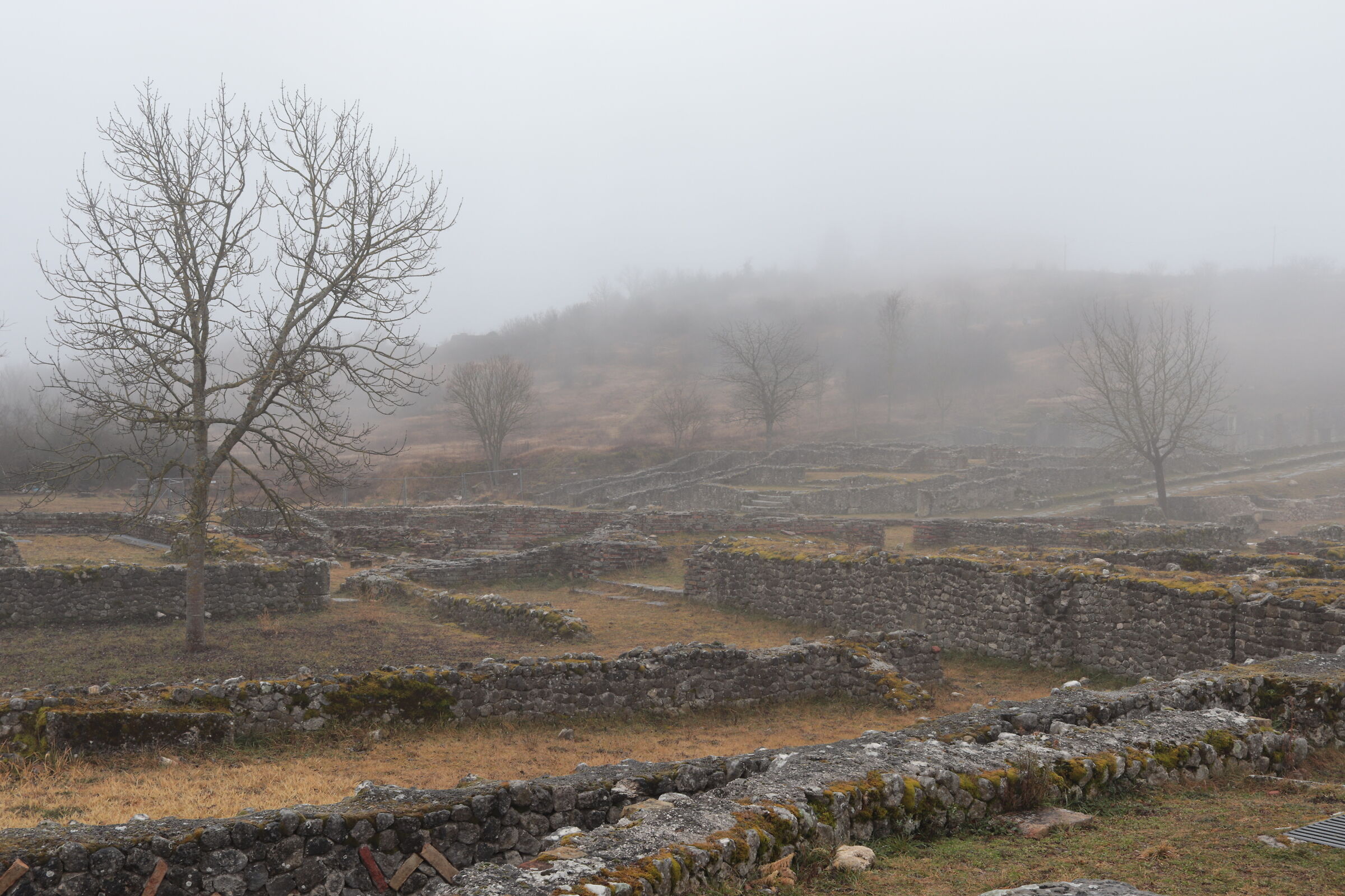 Dawn Fucens in the fog