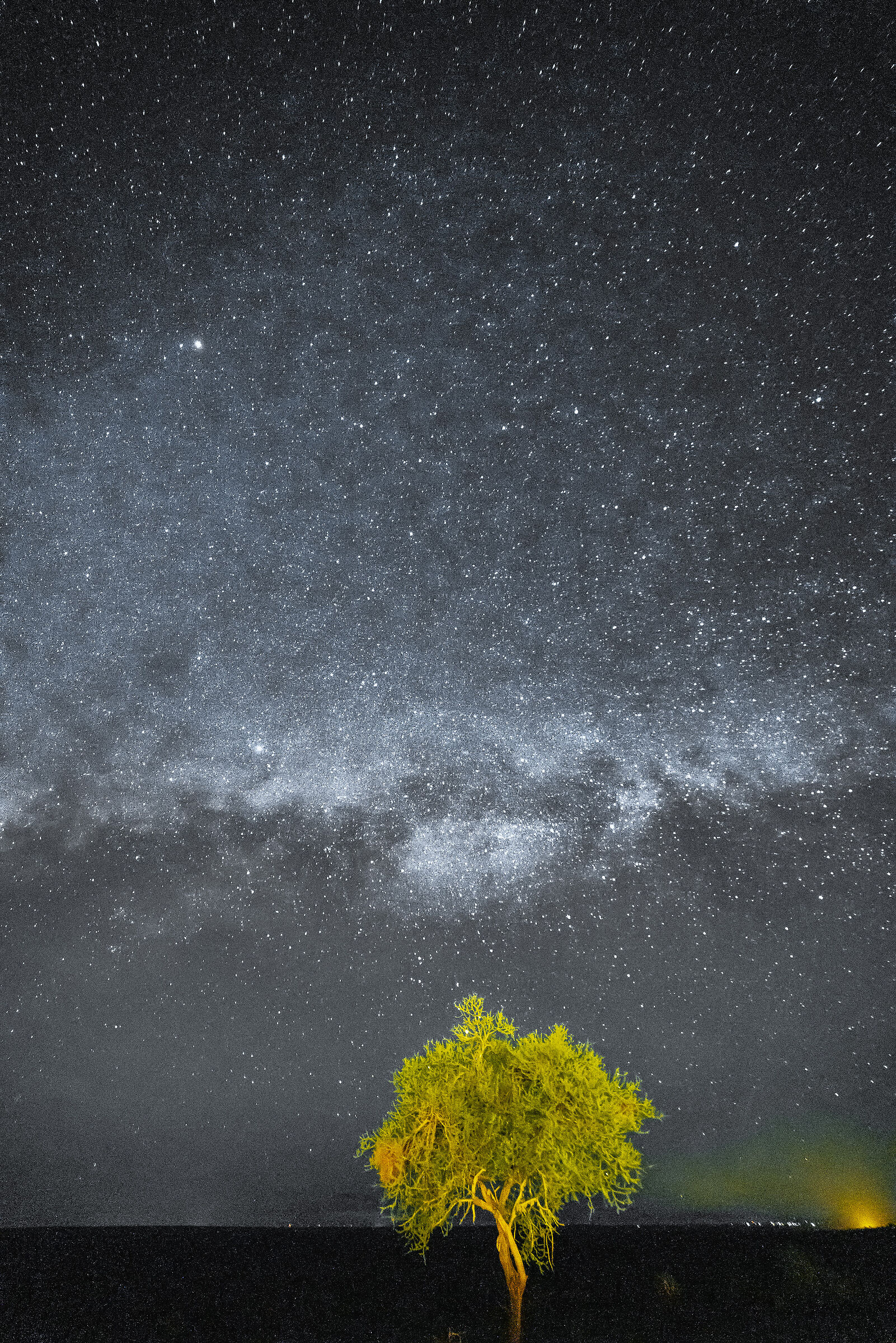 African Night Lualni Park Kenya