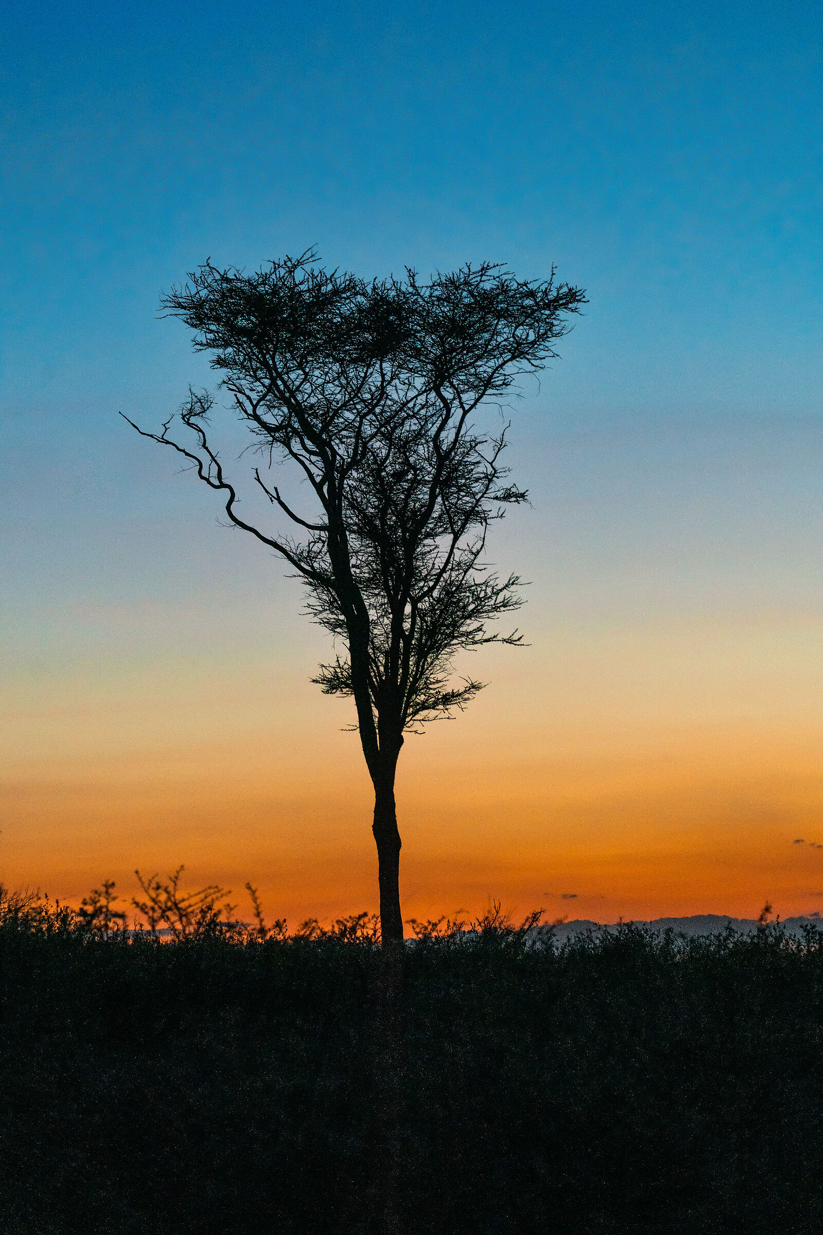 Only at sunset Kenya