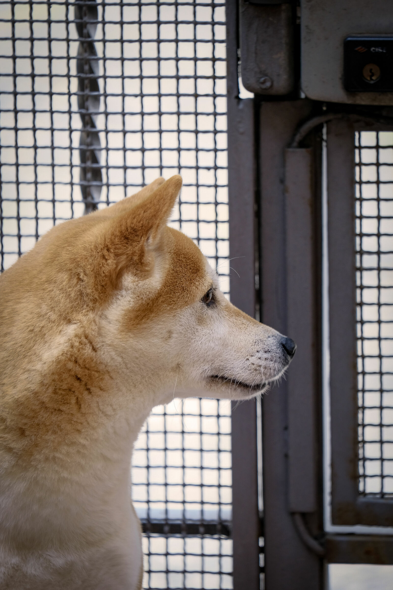 .. and I'm going to relax