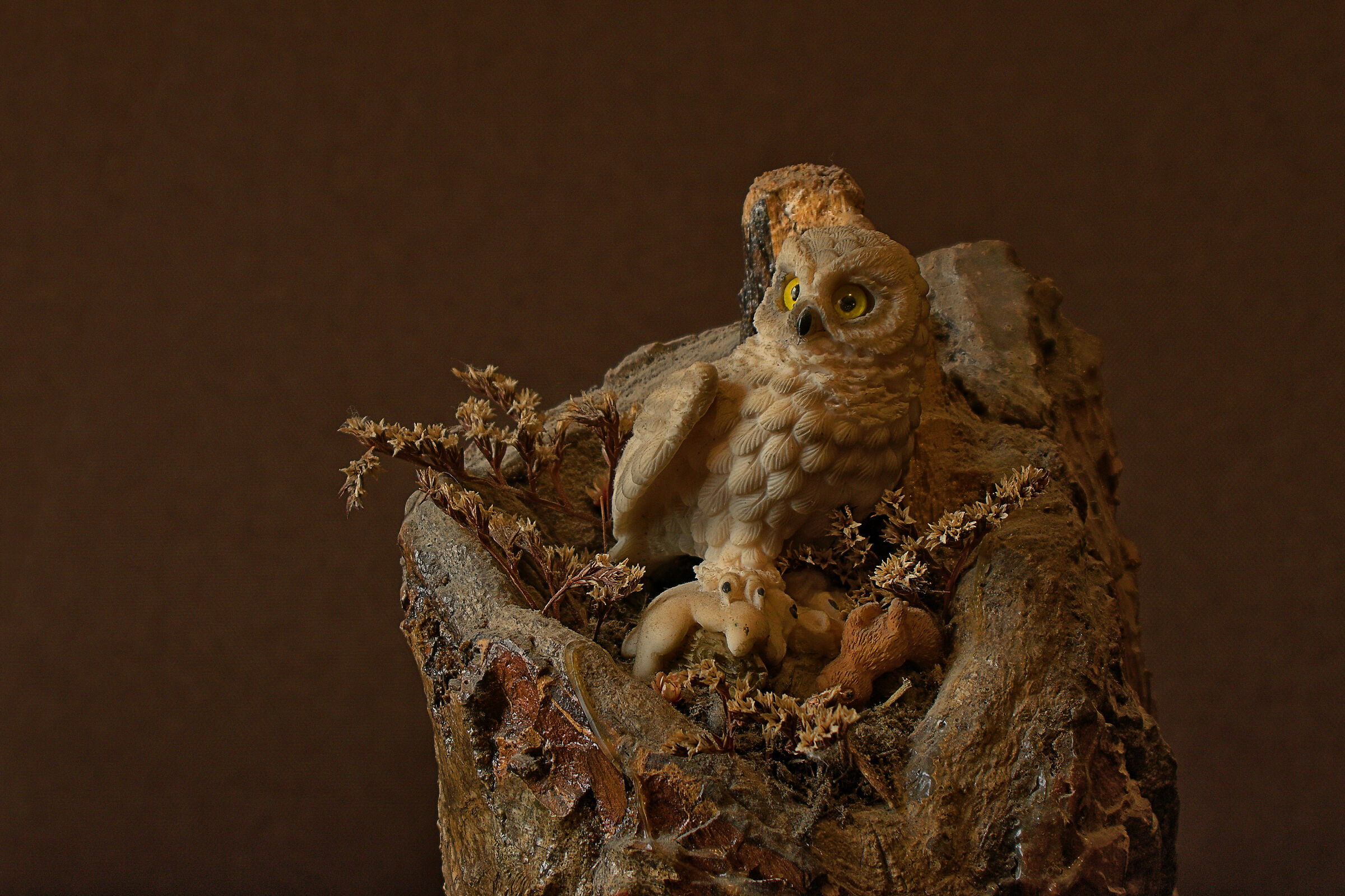 Uccelli da Preda (abbasso il Coronavirus)