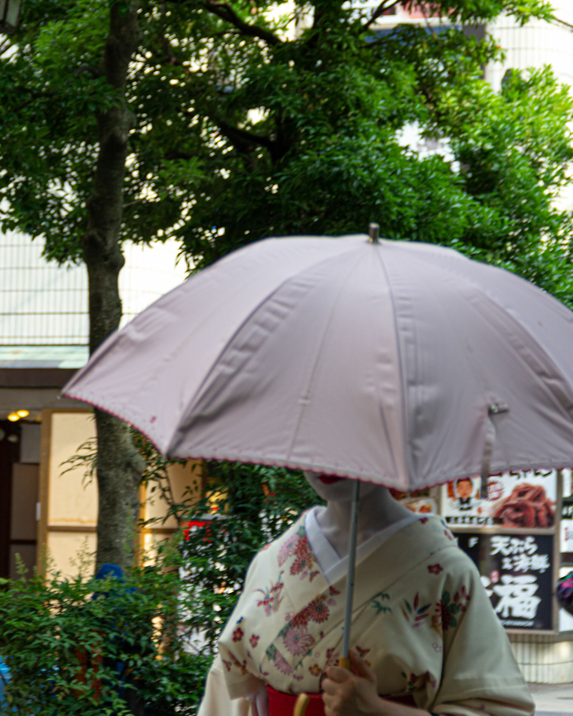 Untitled Photo