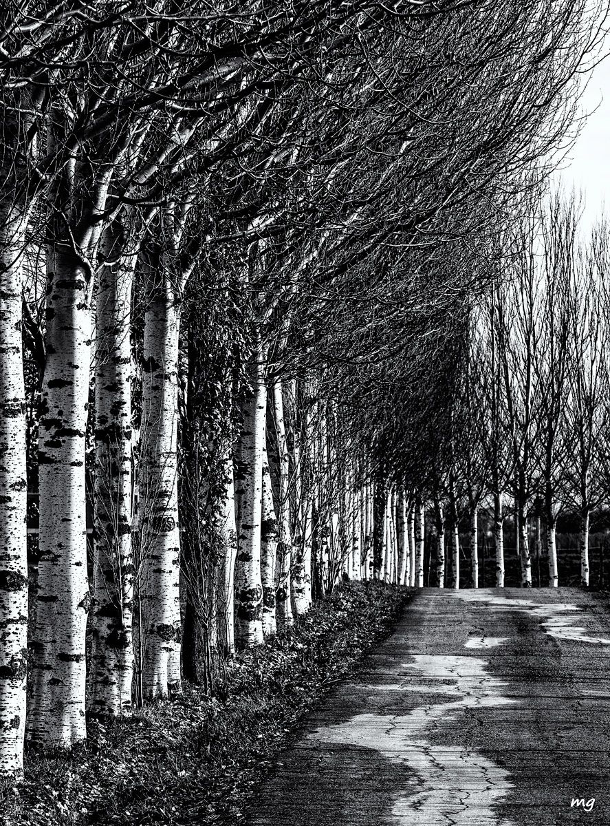 Strada senza uscita (v.2)