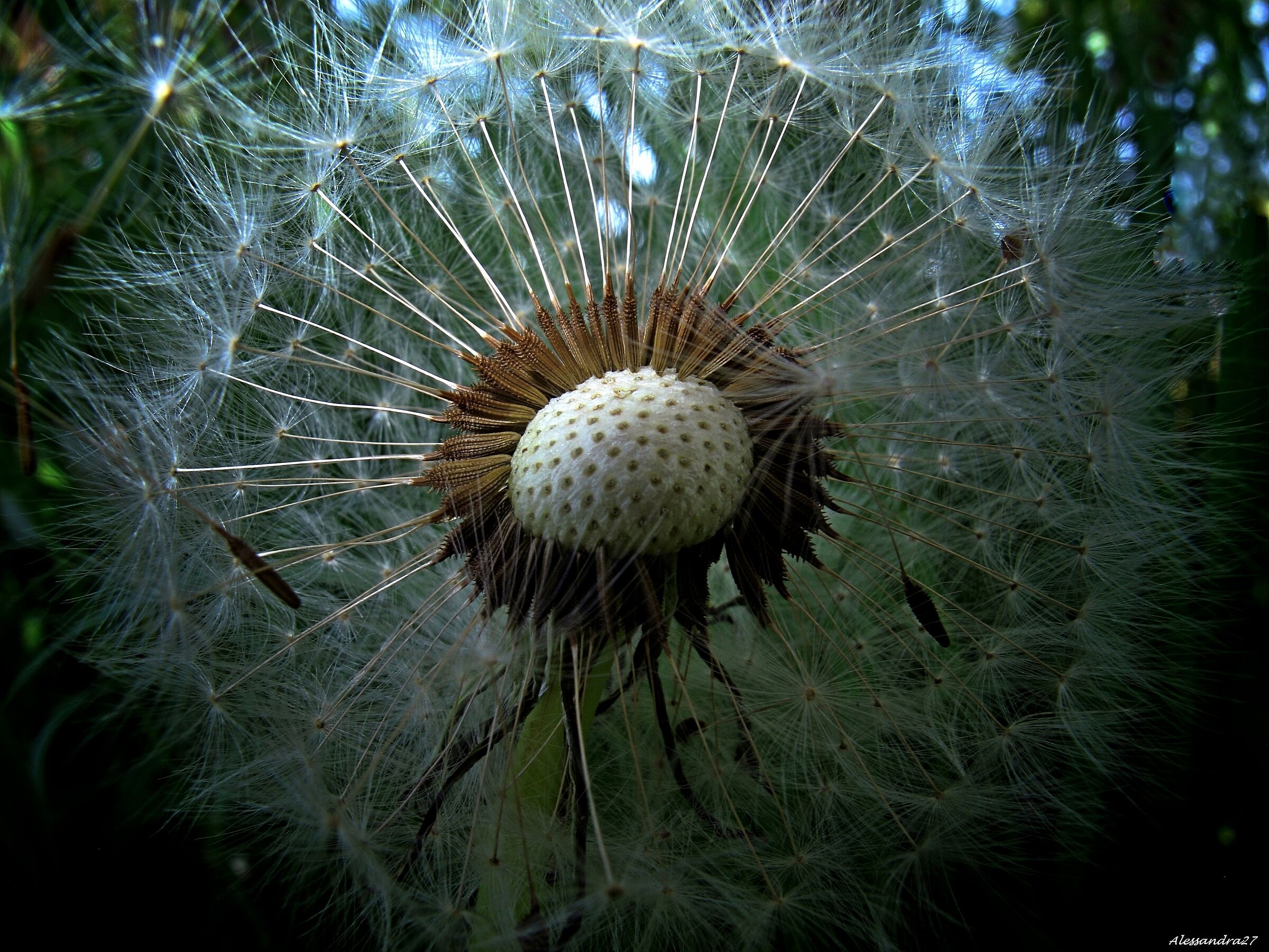 ... tutti insieme ....