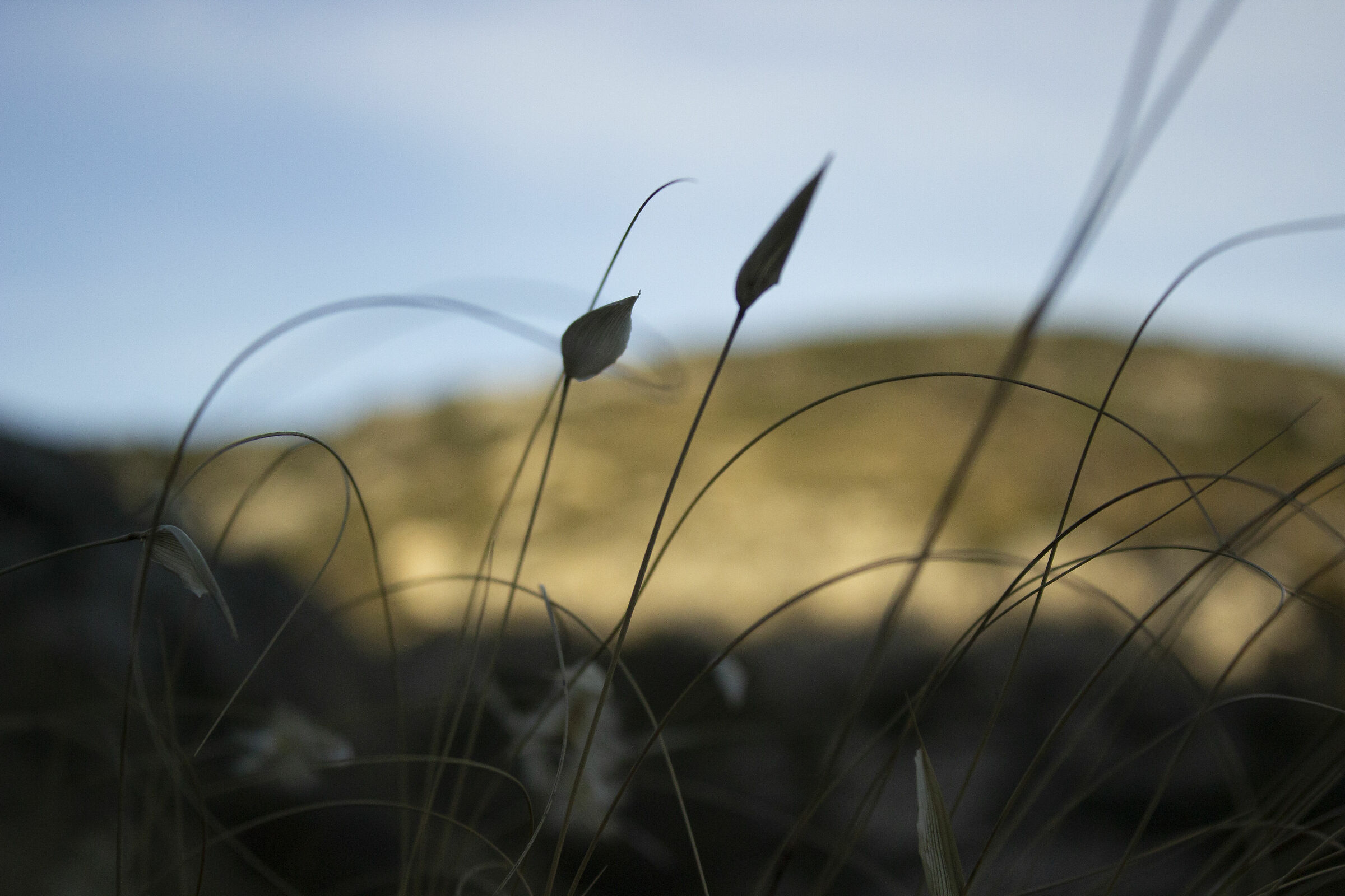 Park of the 7 Brothers