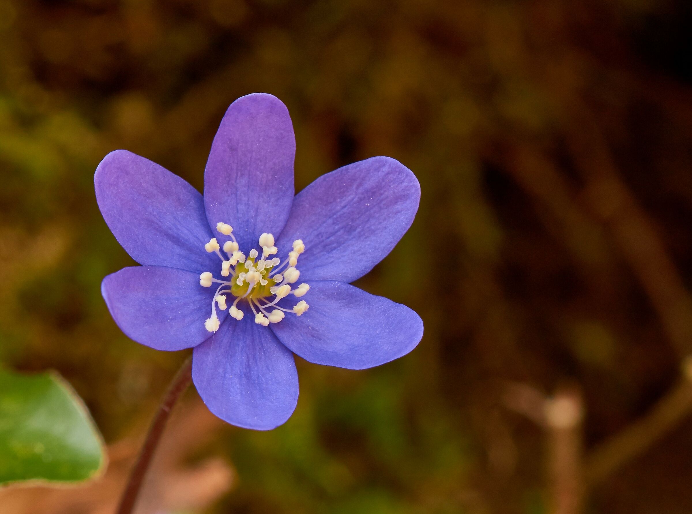 Ricordi di qualche settimana fà