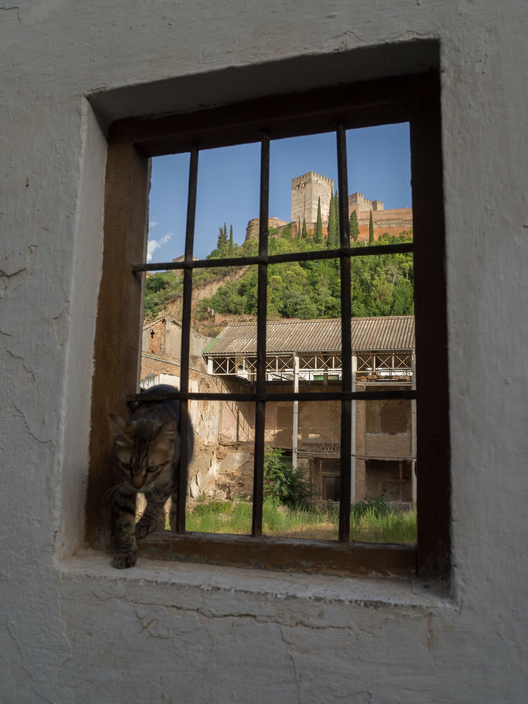 Bienvenido a la Alhambra