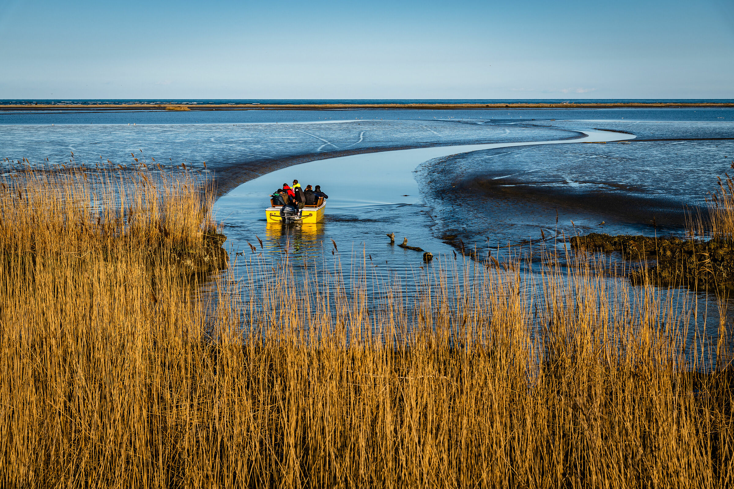 Guardando l'orizzonte...