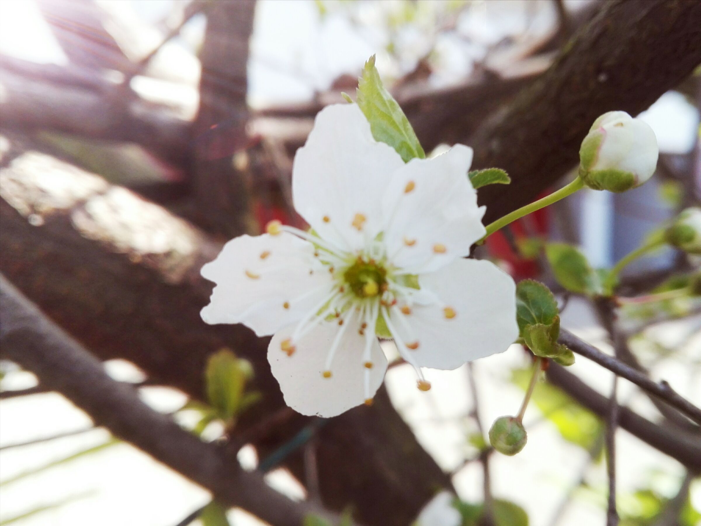 Everything comes back.